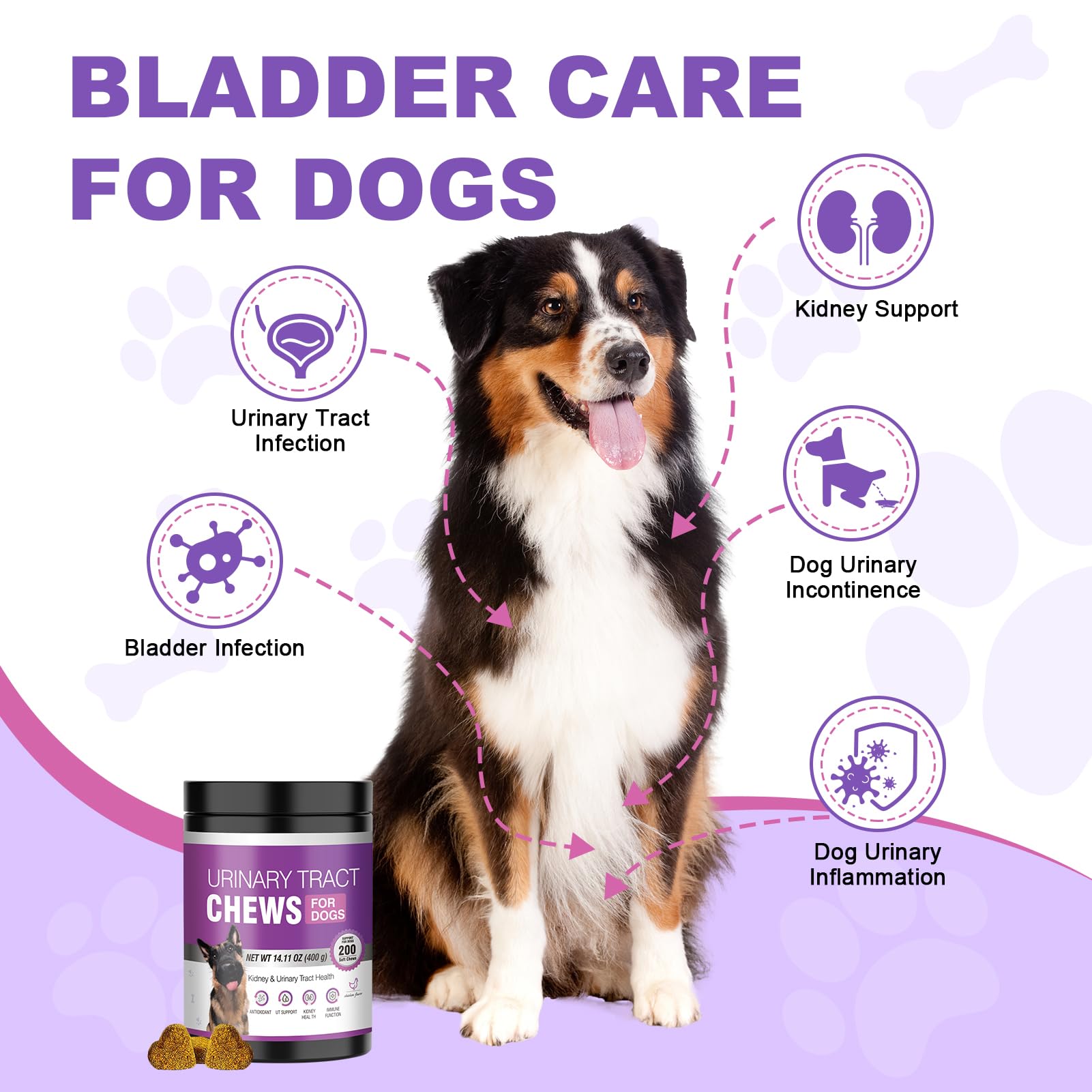 TTLXBL friandise tenue en main pour administration simple