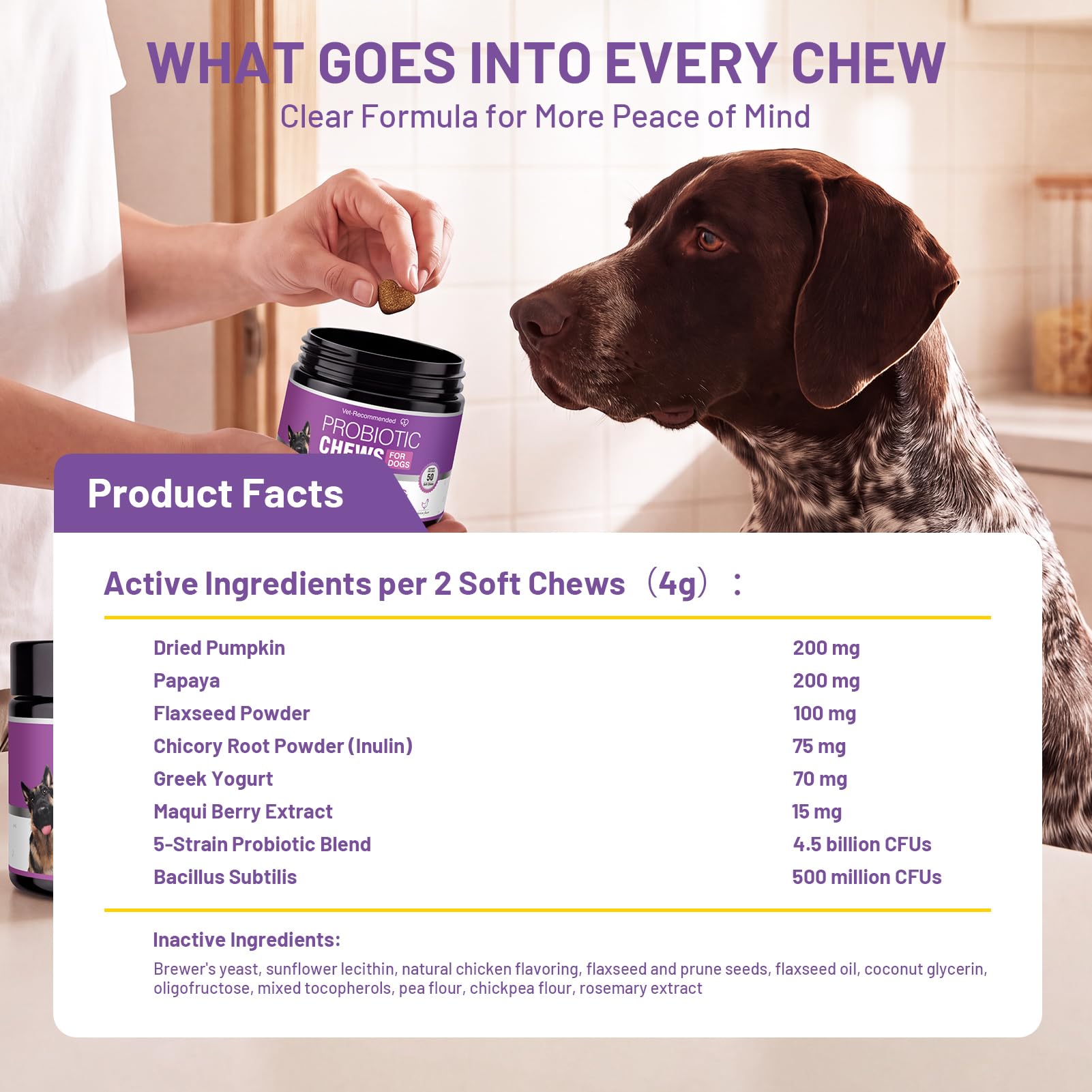 TTLXBL chien actif en extérieur montrant support du bien‑être