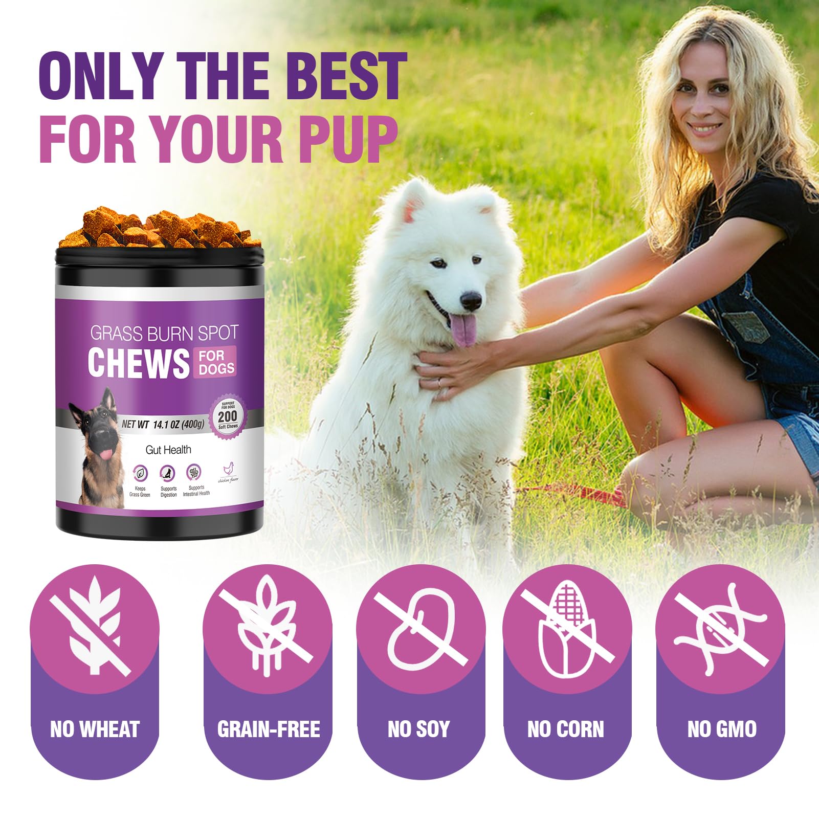 TTLXRL chien mangeant à l'extérieur après chew bénéfice appétence