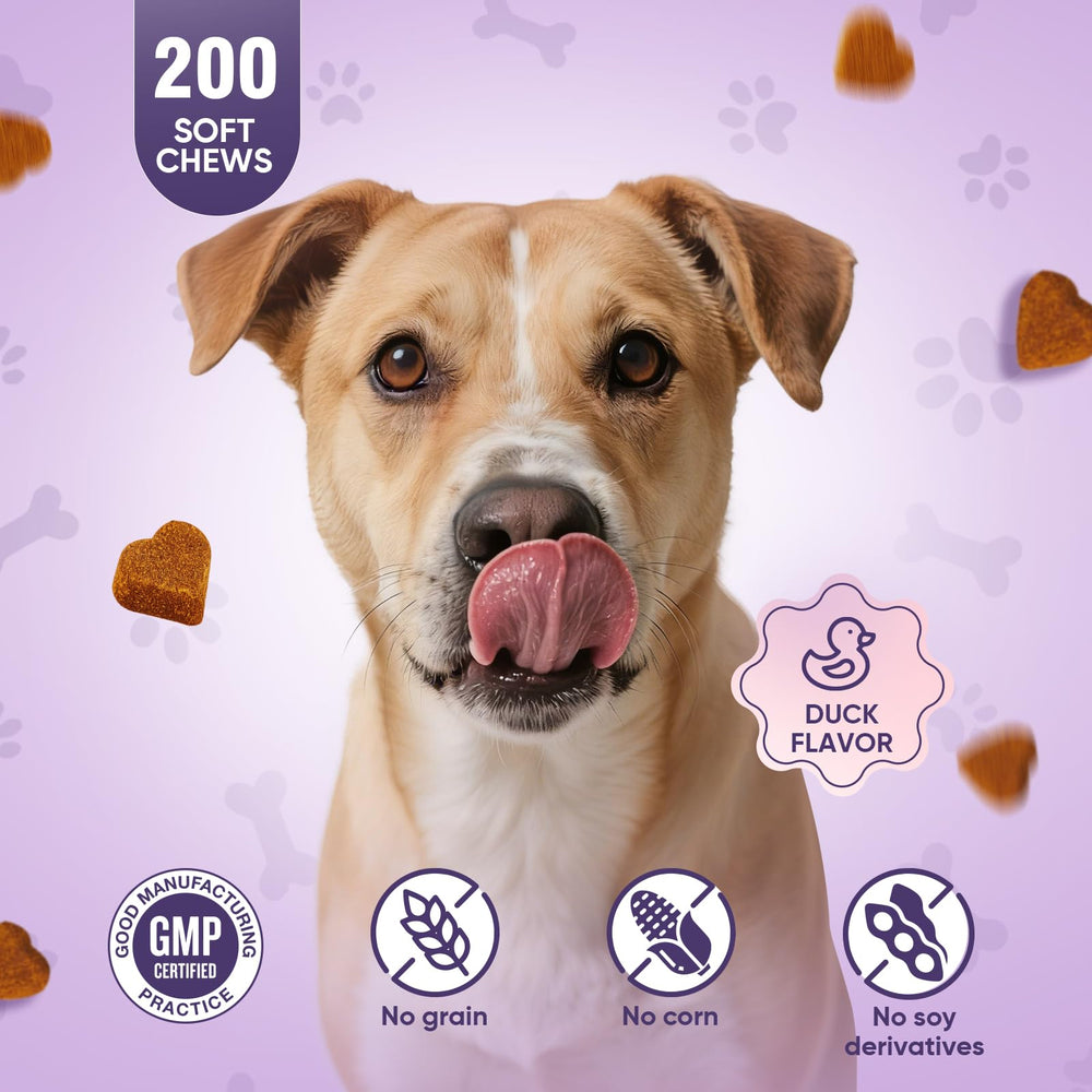 TTLXRL comprimé posé sur la patte d’un chien illustre facilité prise