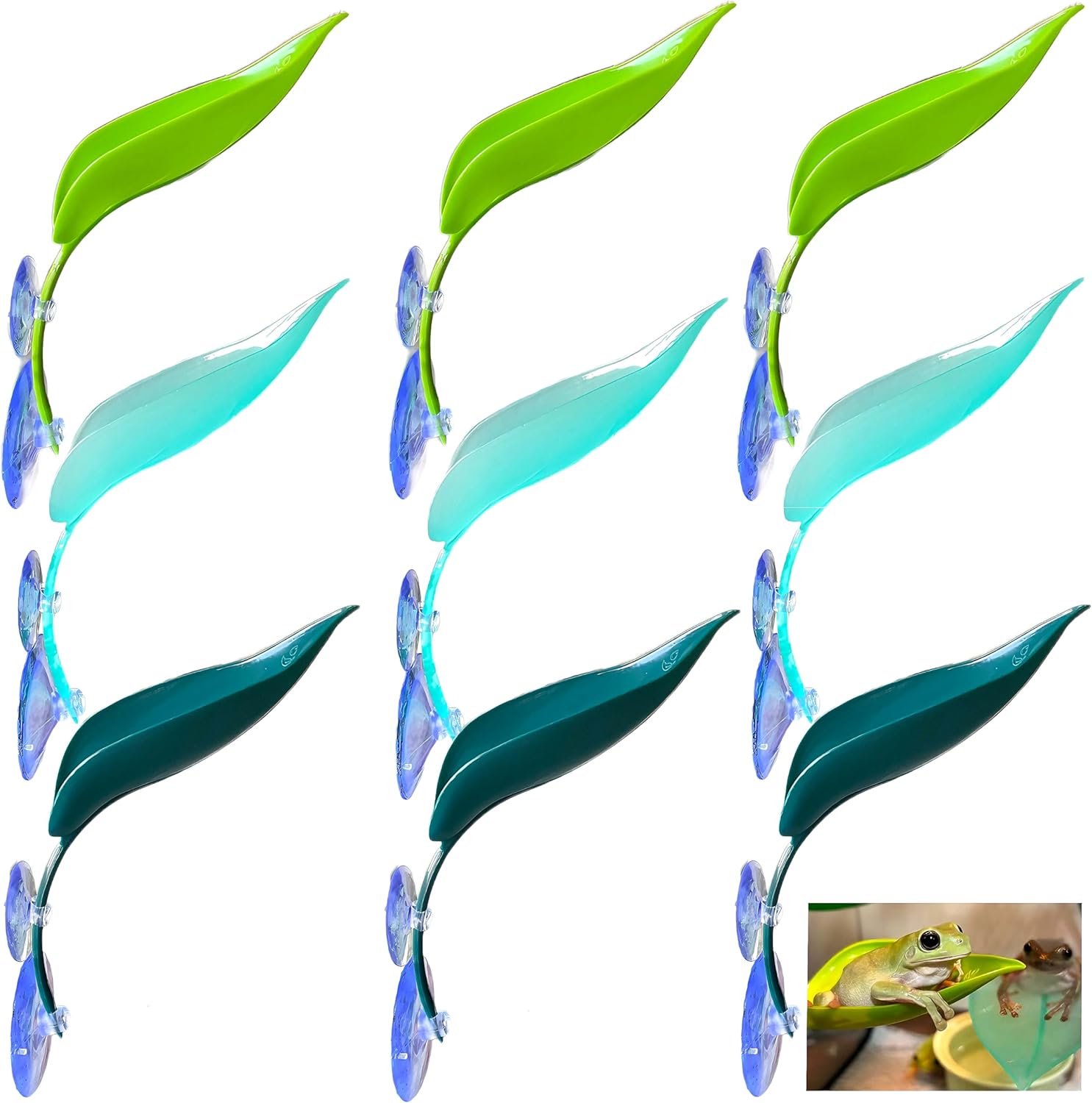 TTYGRHQ feuille vue avant offrant un perchoir réaliste pour grenouilles et reptiles