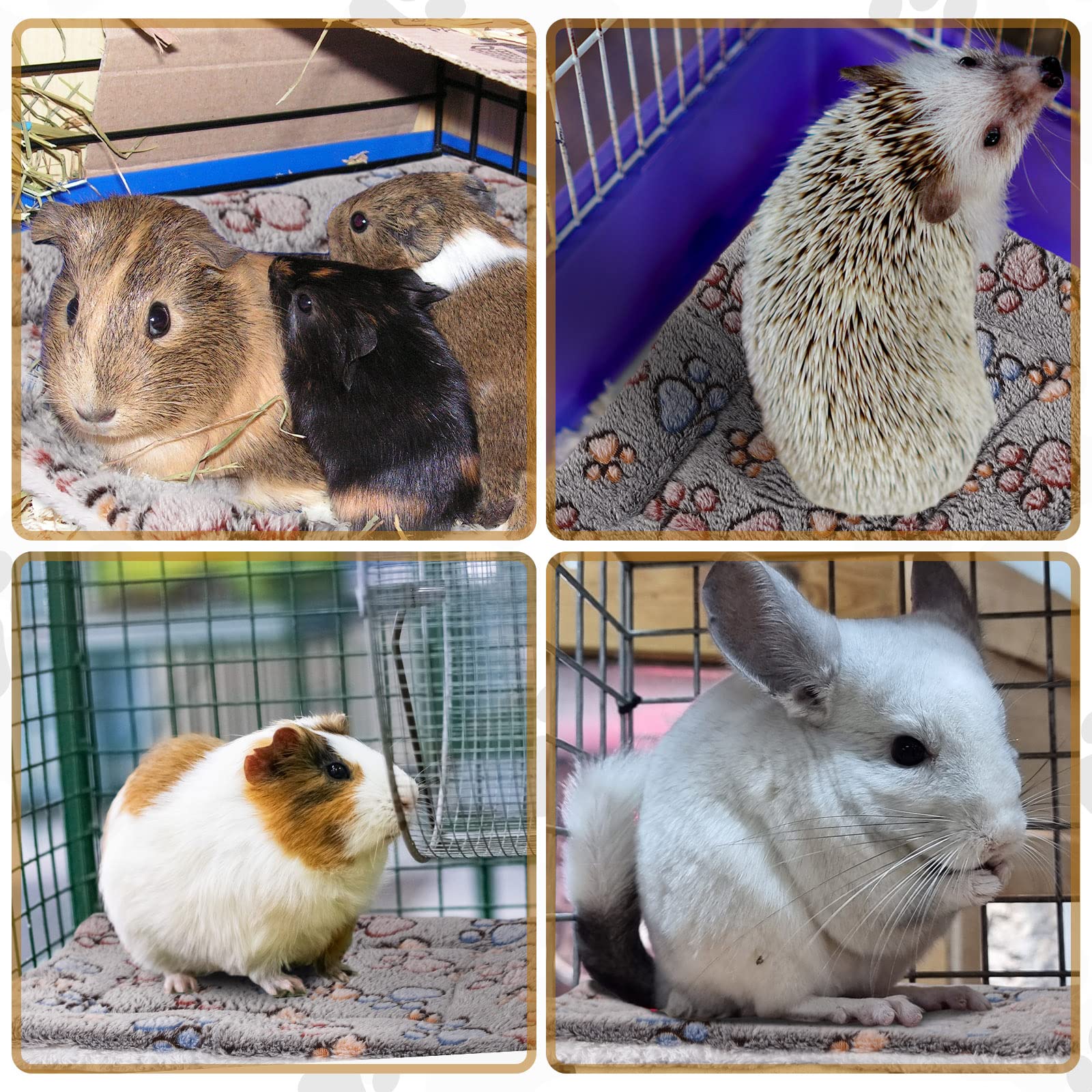 Tuanse tapis placé dans une cage, confort et adaptation