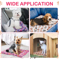 Tuanse tapis posé à côté d'un petit chien pour comparaison de taille pratique