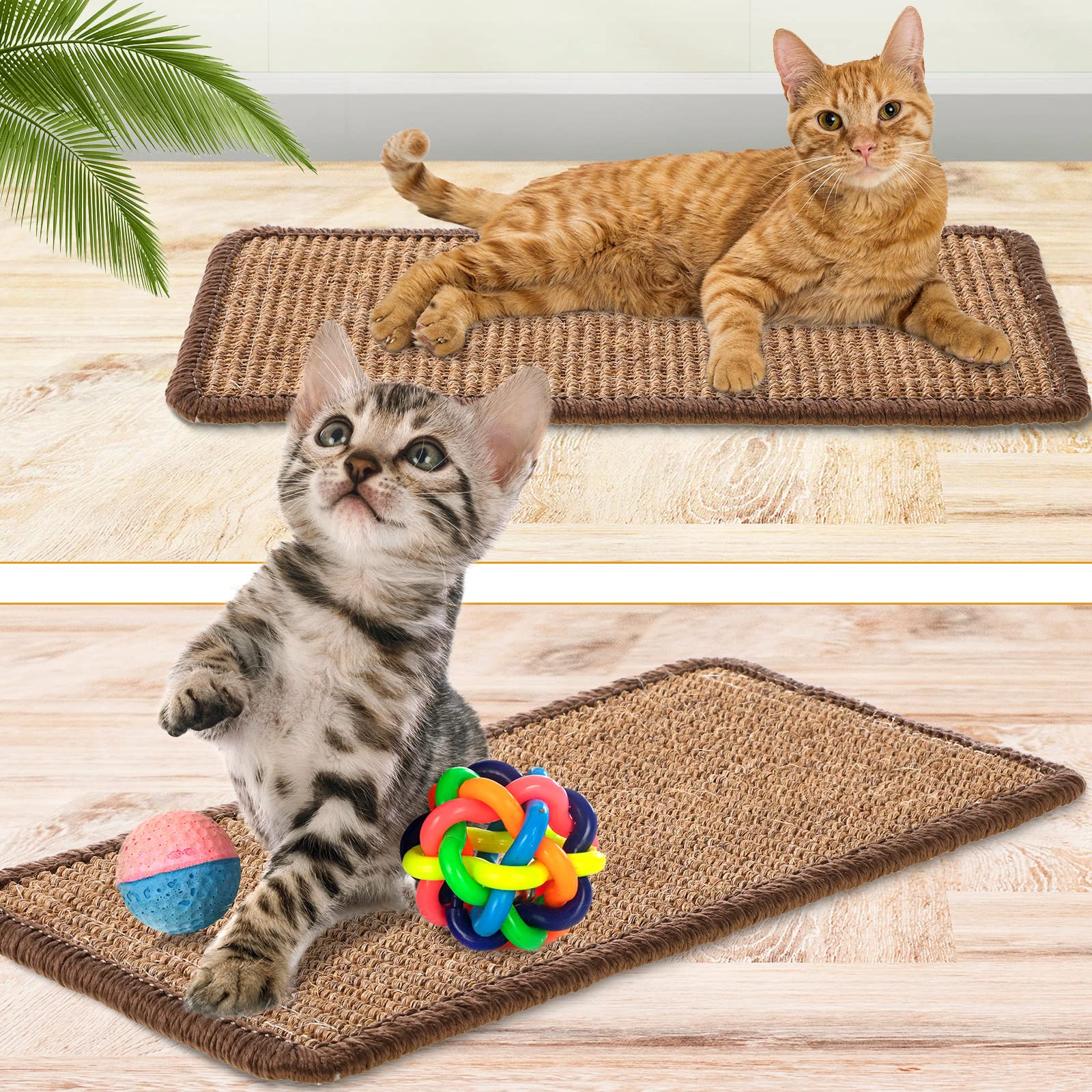 Tuanse tapis comparé à règle pour voir dimensions compactes et ajustables