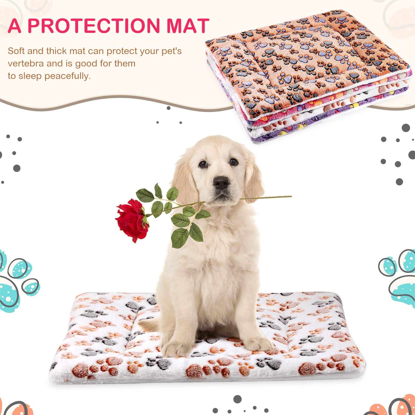 Tuanse motif patte visible pour design mignon et ambiance accueillante