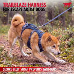 Tuff Pupper anneau frontal heavy duty pour entraînement sans traction