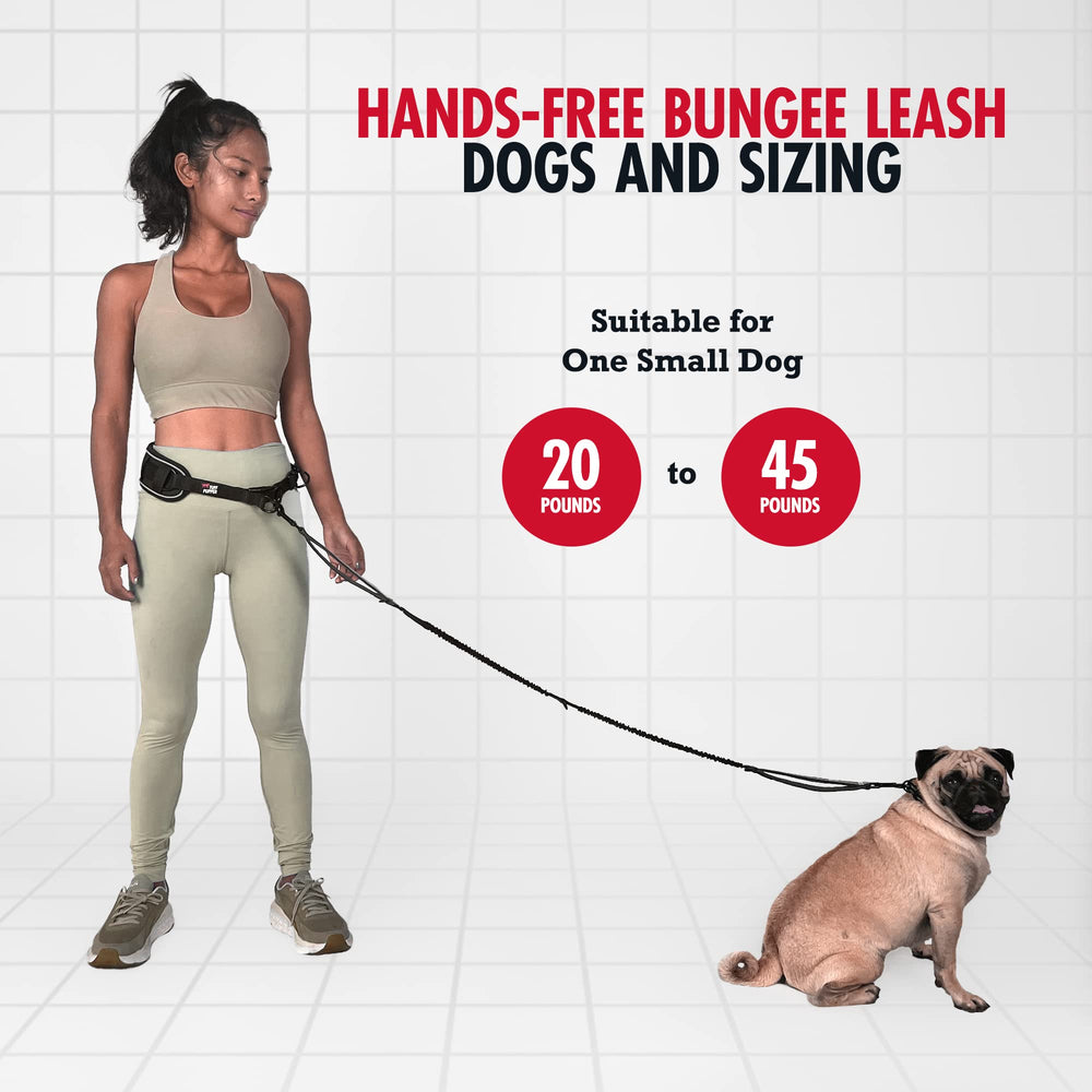 Tuff Pupper ceinture rembourrée en mousse pour confort lombaire prolongé