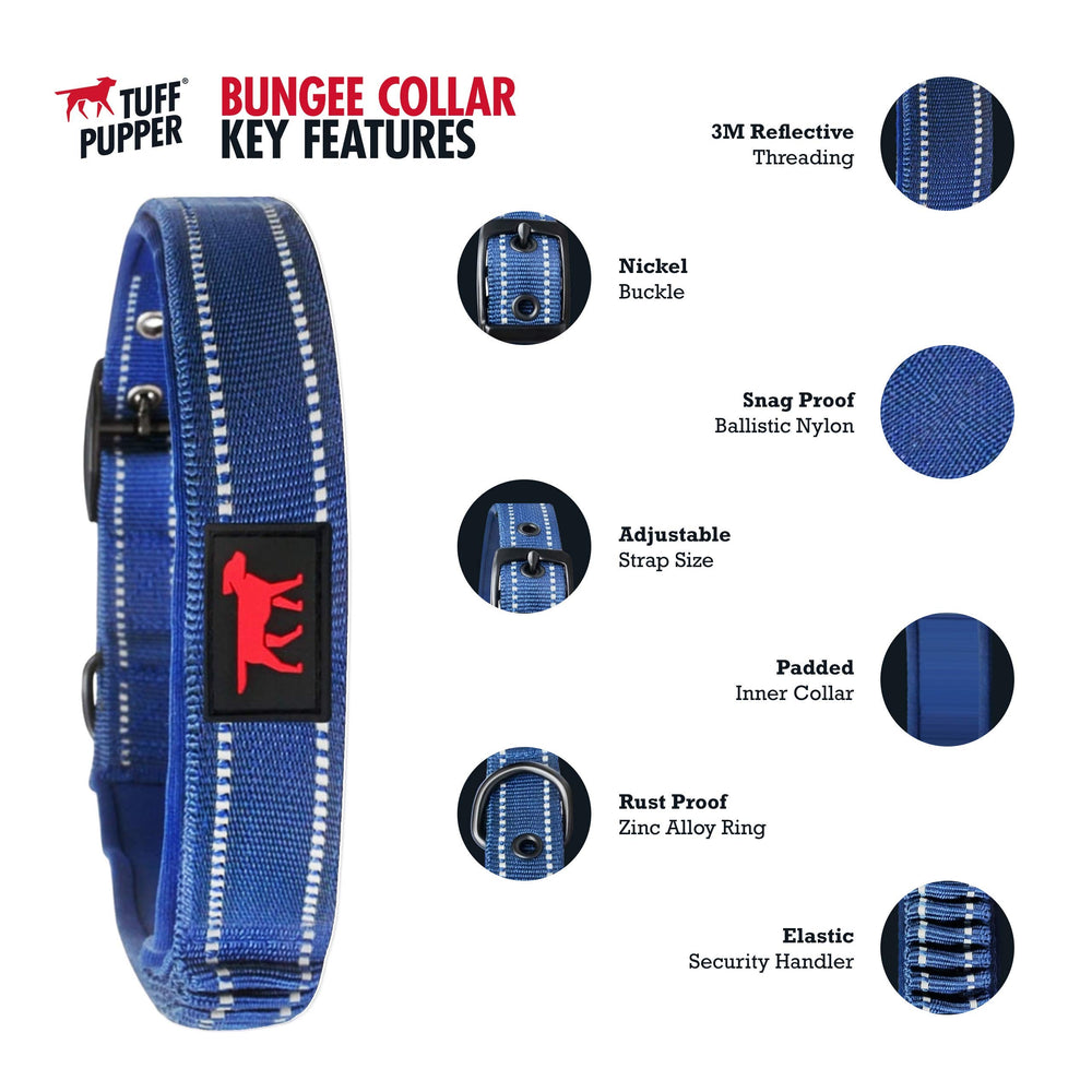 Tuff Pupper boucle acier inoxydable durable garantissant sécurité