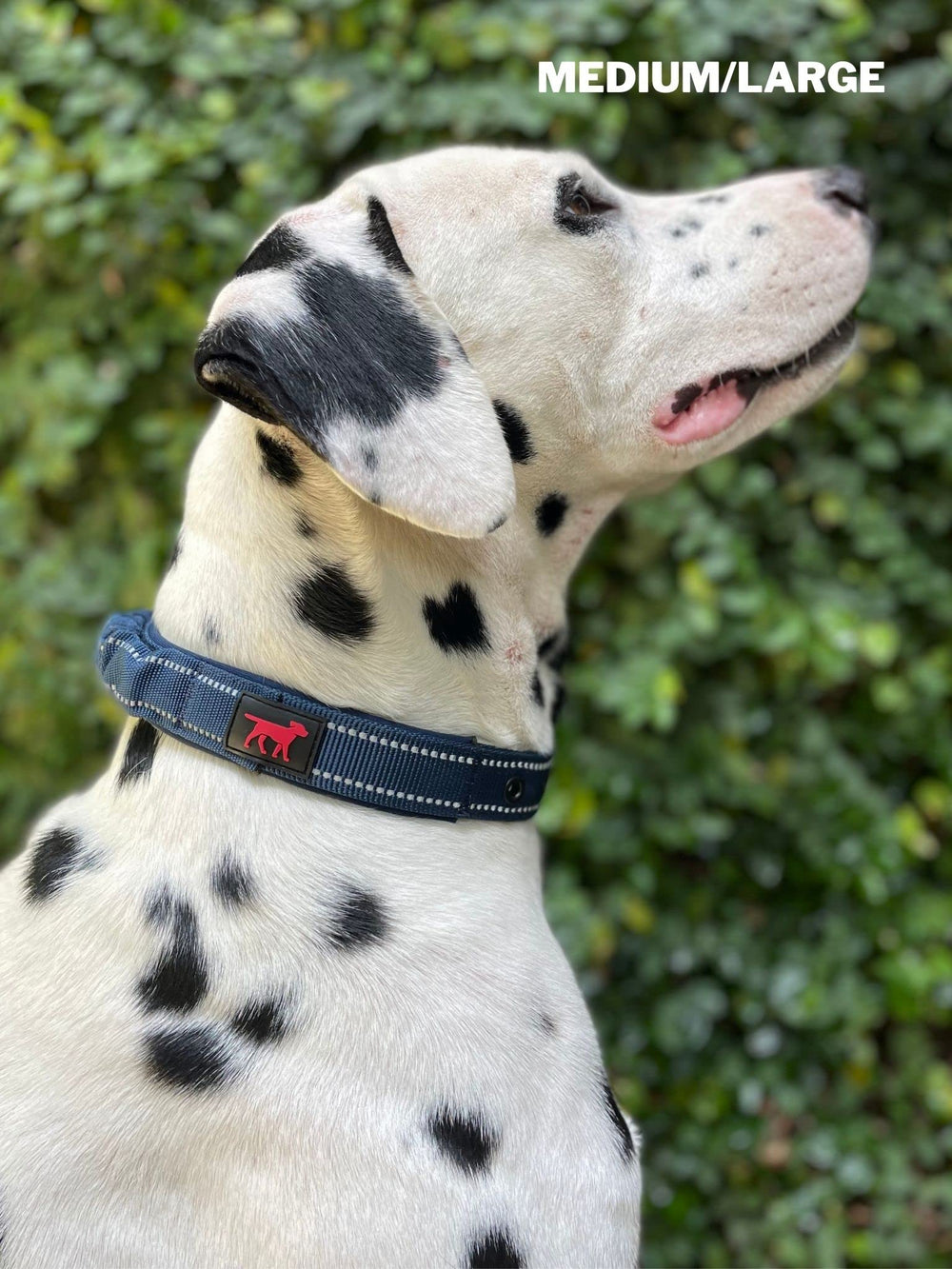 Tuff Pupper guide des tailles pour choisir le collier adapté à la race