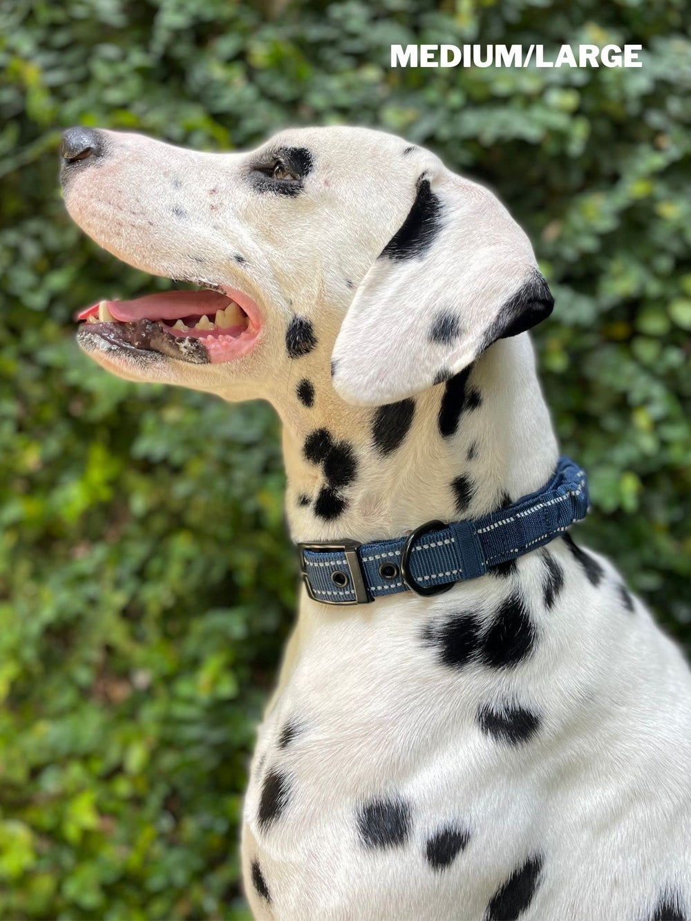 Tuff Pupper emballage et étiquette montrant informations et garantie