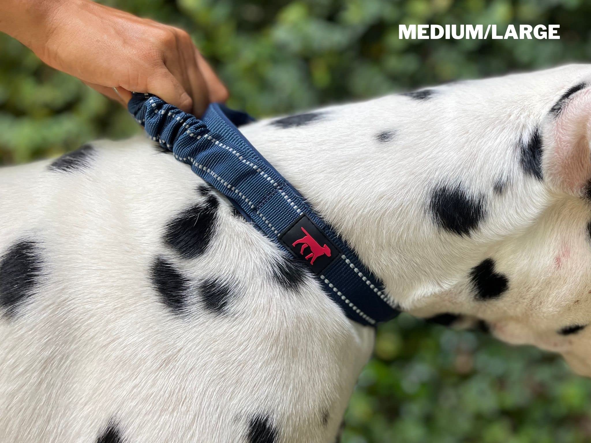 Tuff Pupper collier en usage lors d'une promenade urbaine contrôlée