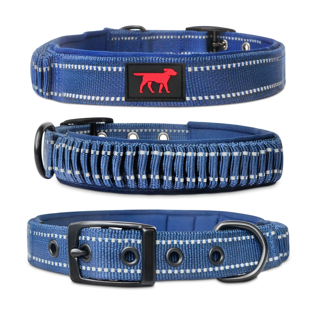 Tuff Pupper vue avant du collier montrant design robuste et boucle sûre