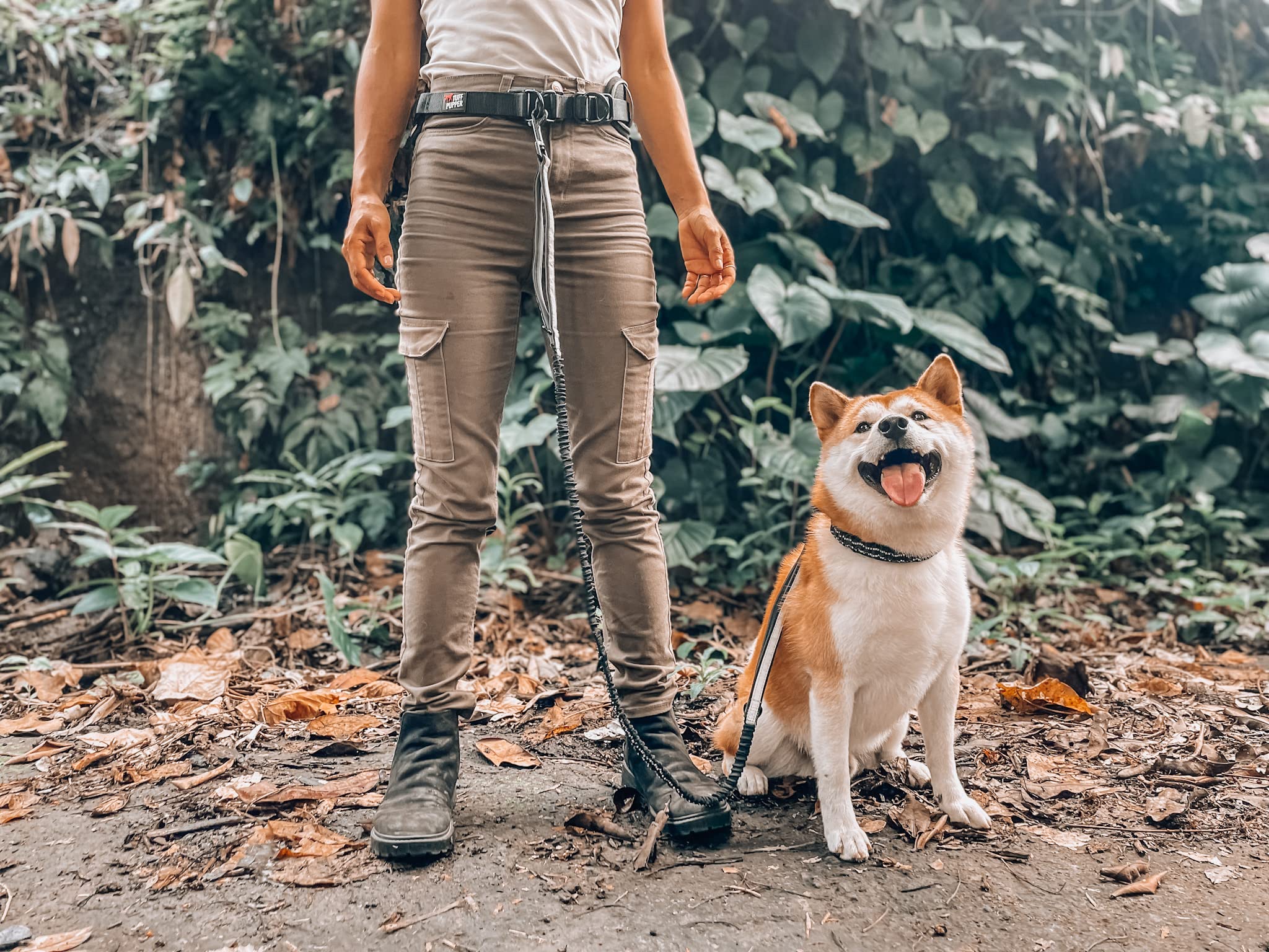 Tuff Pupper comparaison de taille illustrant dimensions pour petits chiens
