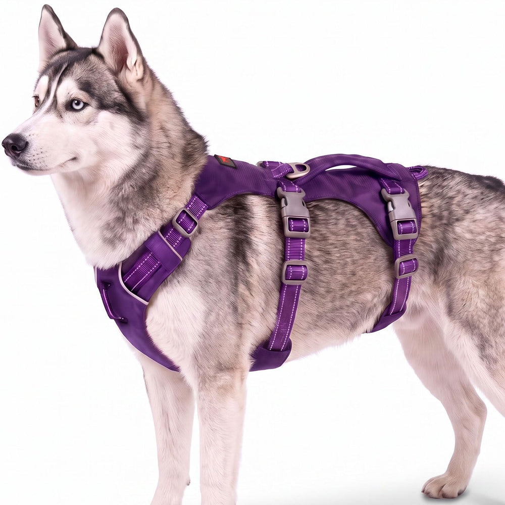 Tuff Pupper harnais TrailBlaze face avant montrant maintien sûr