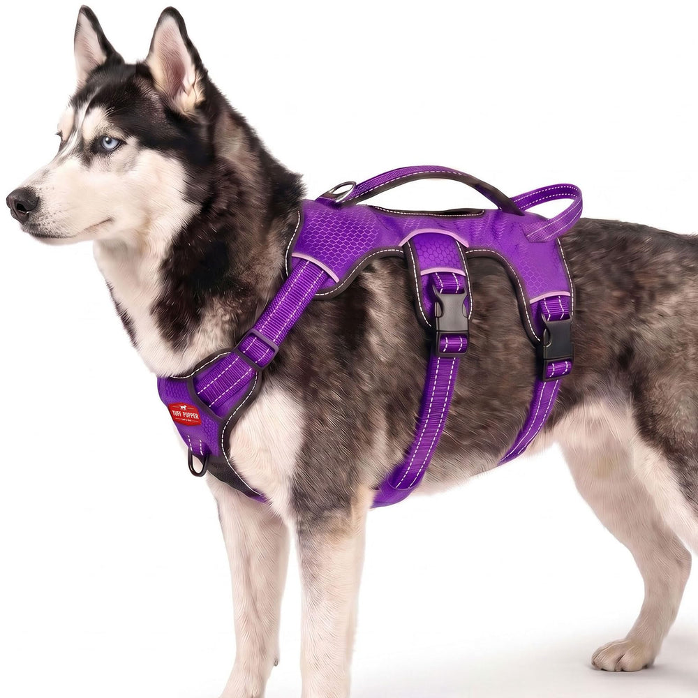 Tuff Pupper vue avant du harnais montrant un bon maintien