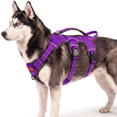 Tuff Pupper vue avant du harnais montrant un bon maintien