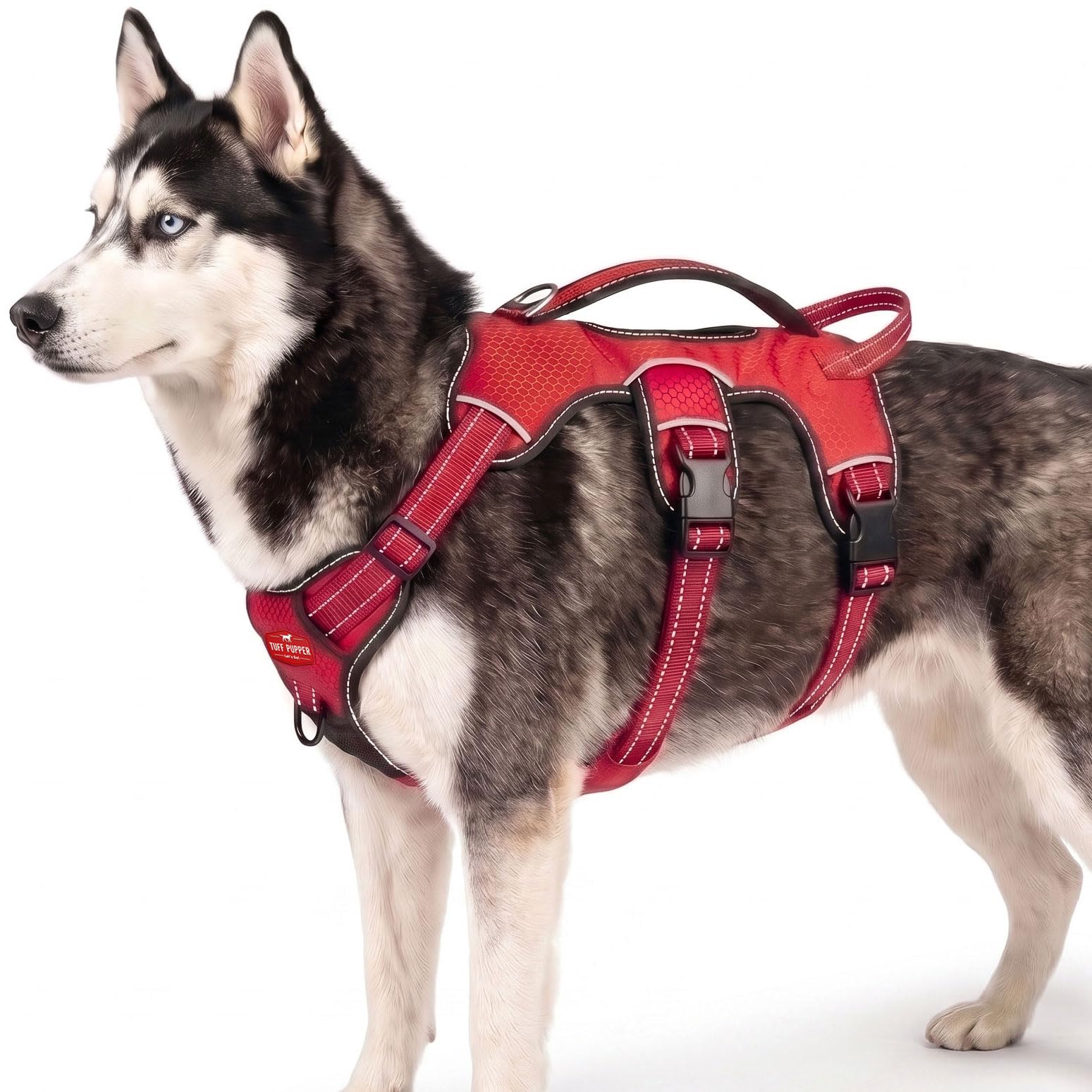 Tuff Pupper vue frontale du harnais montrant maintien et sécurité