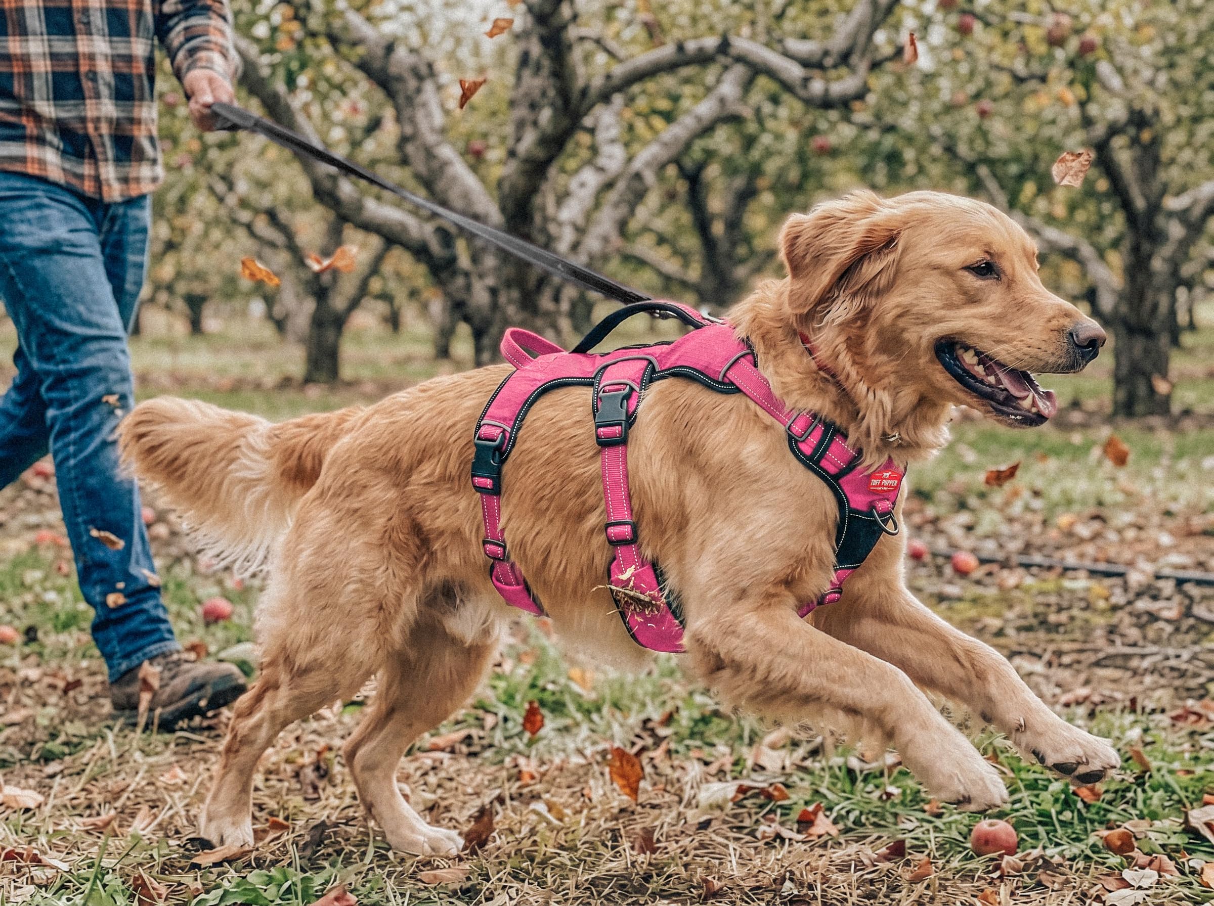 Tuff Pupper sangles nylon balistique pour solidité et durabilité