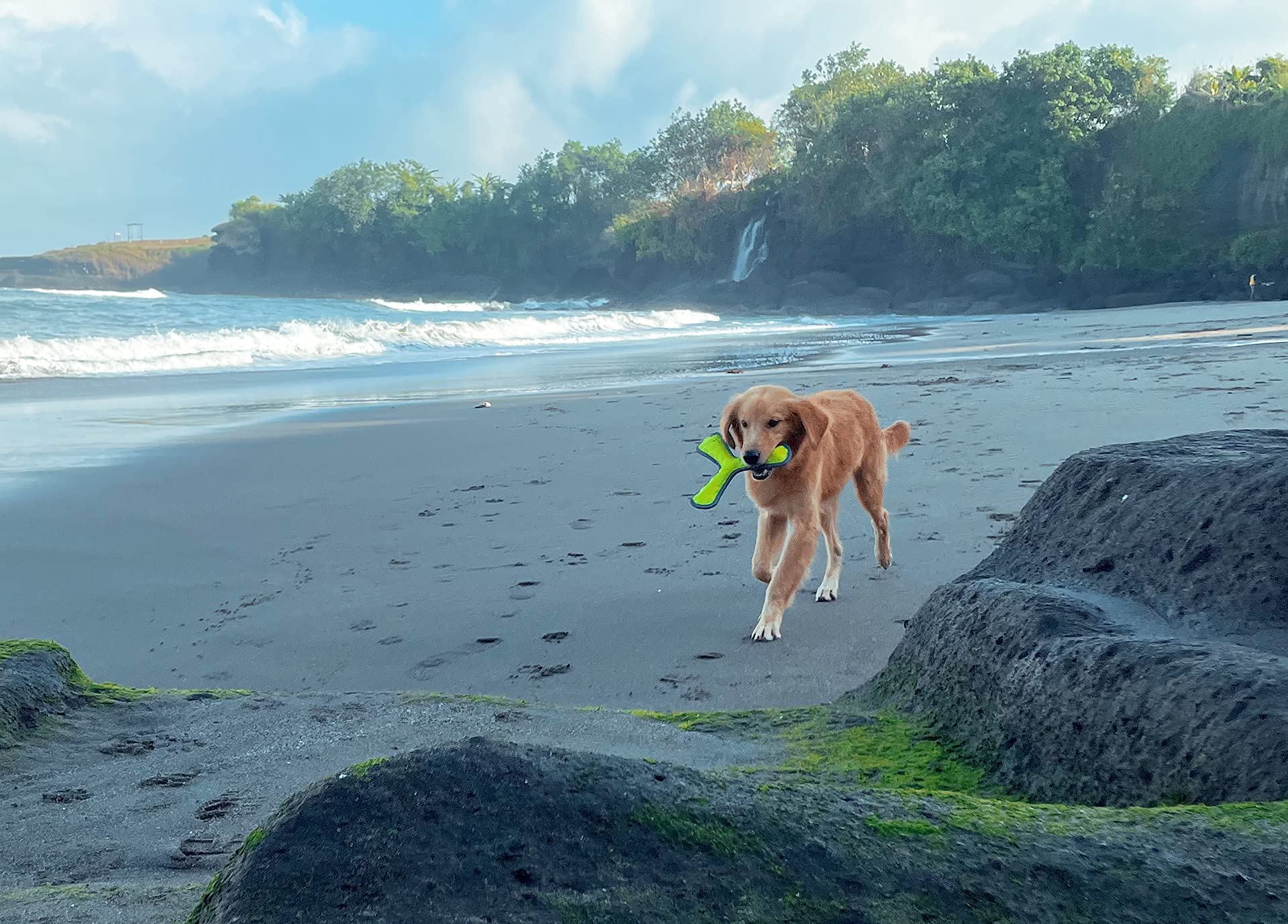 Tuff Pupper en usage sur la plage pour jeu social et activité