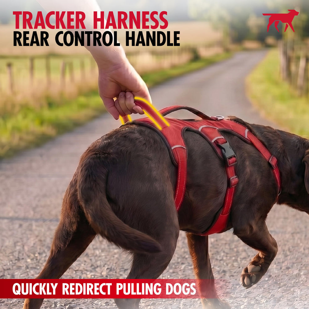 Tuff Pupper poignée de levage rembourrée pour support et assistance