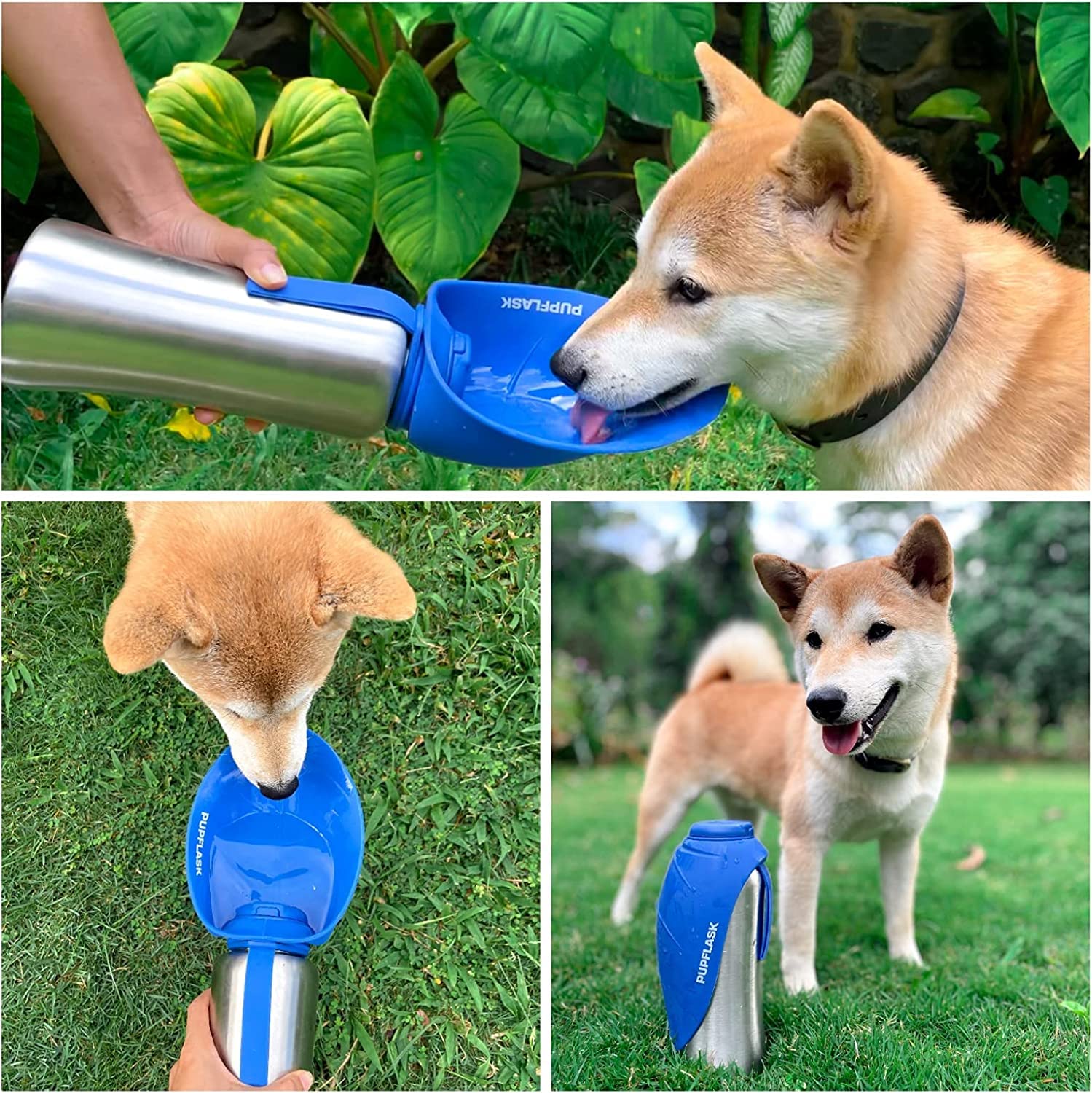 Tuff Pupper comparaison taille à côté d'une laisse, capacité 27 oz claire