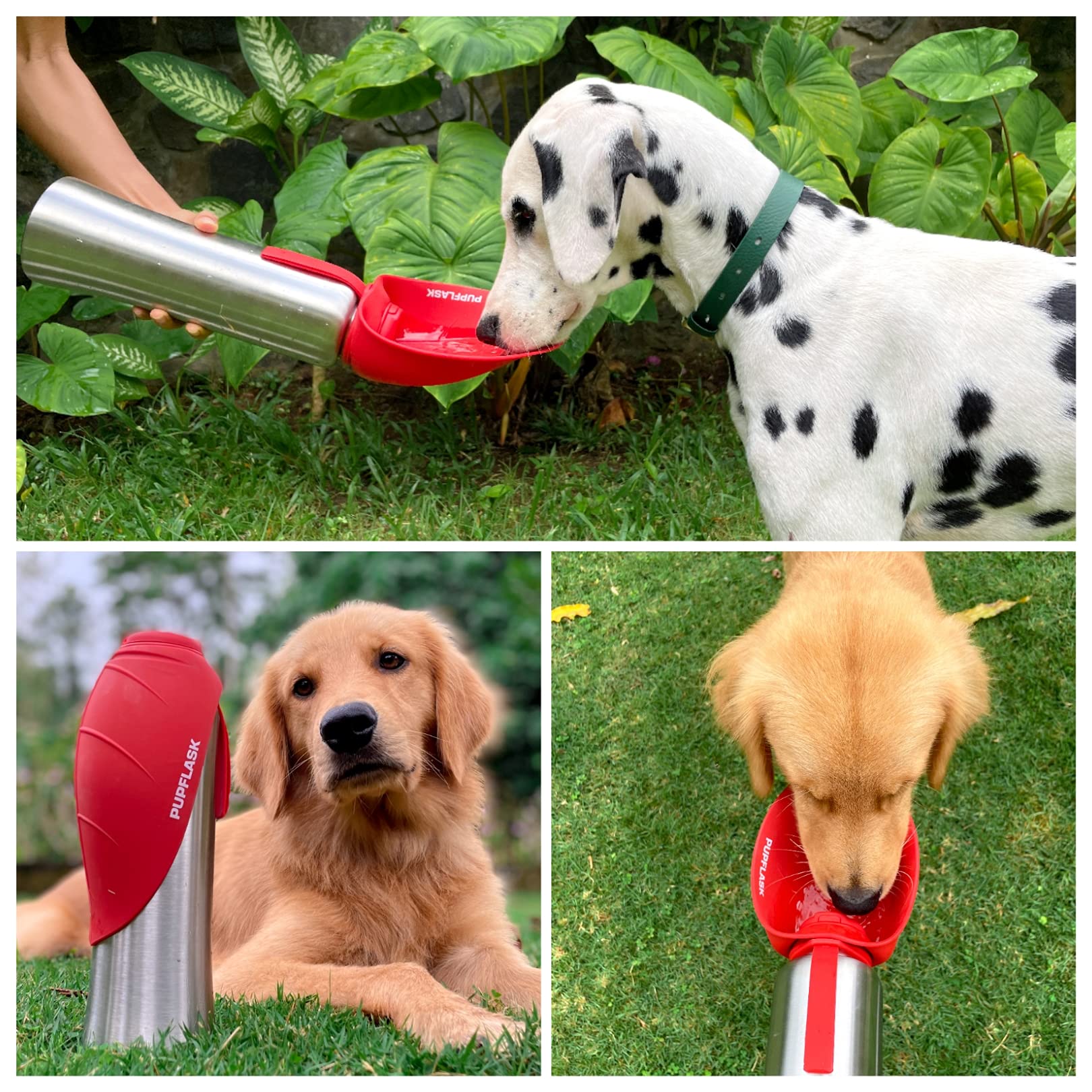 Tuff Pupper PupFlask comparaison taille montrant la contenance 40 oz