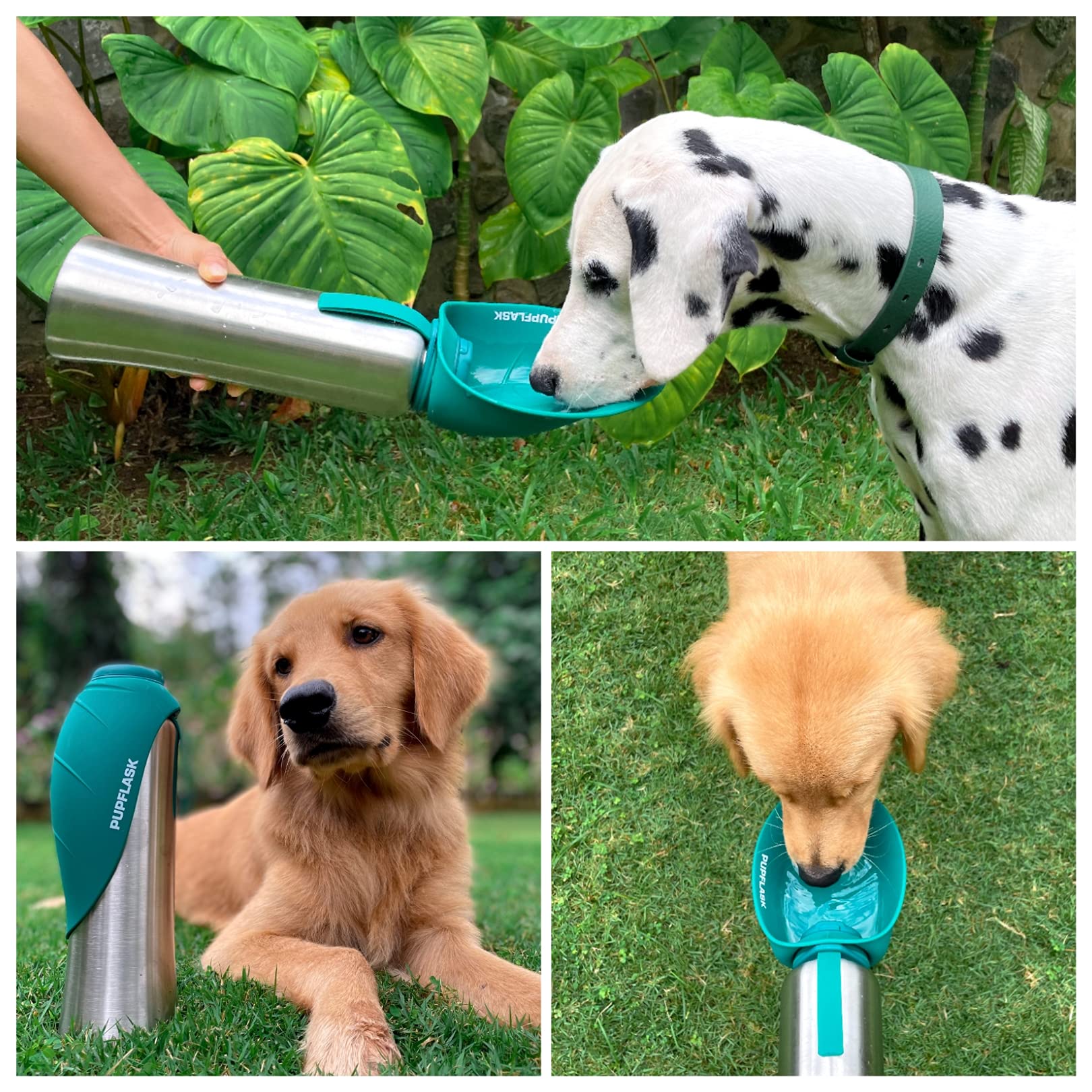 Tuff Pupper comparaison taille à côté d’une main montrant capacité 40 oz pratique