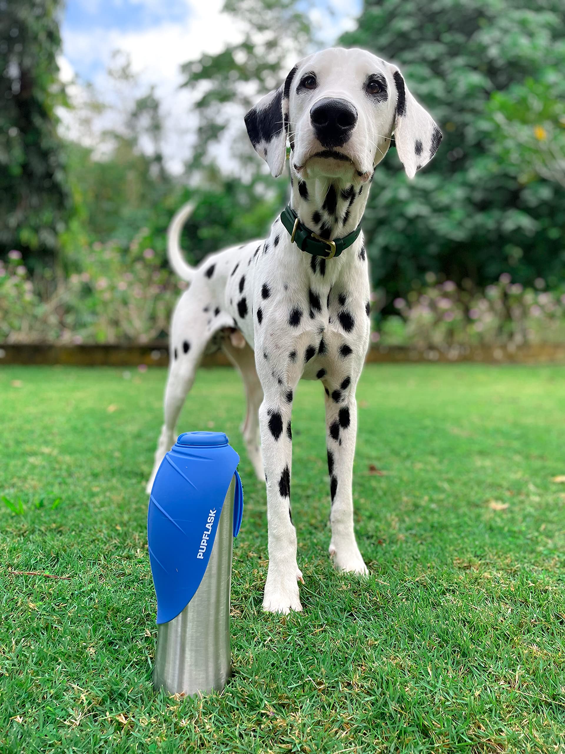 Tuff Pupper PupFlask démontée pour nettoyage montrant facilité d'entretien