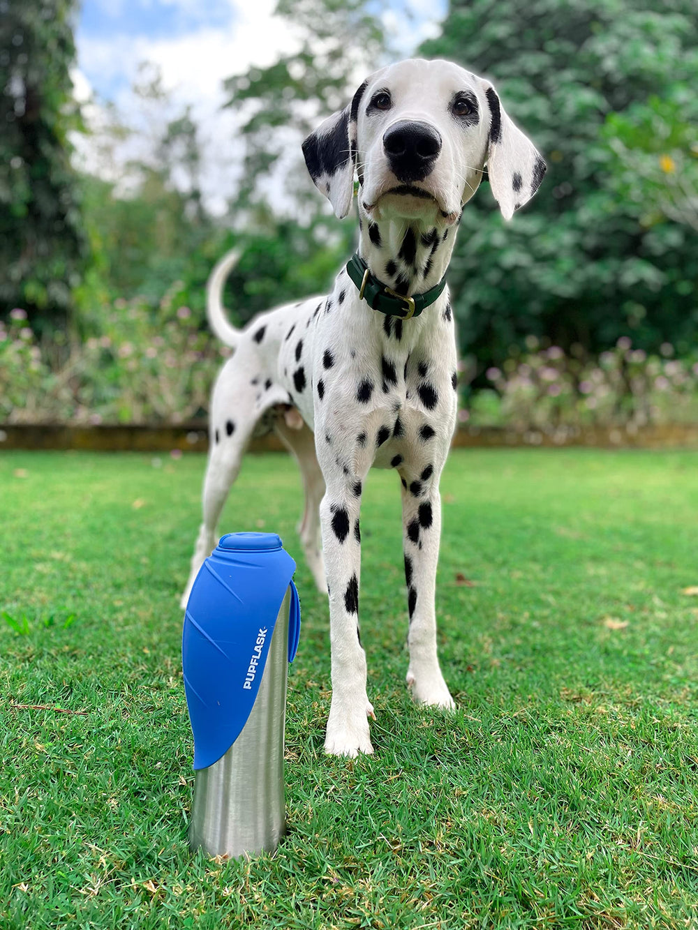 Tuff Pupper PupFlask démontée pour nettoyage montrant facilité d'entretien