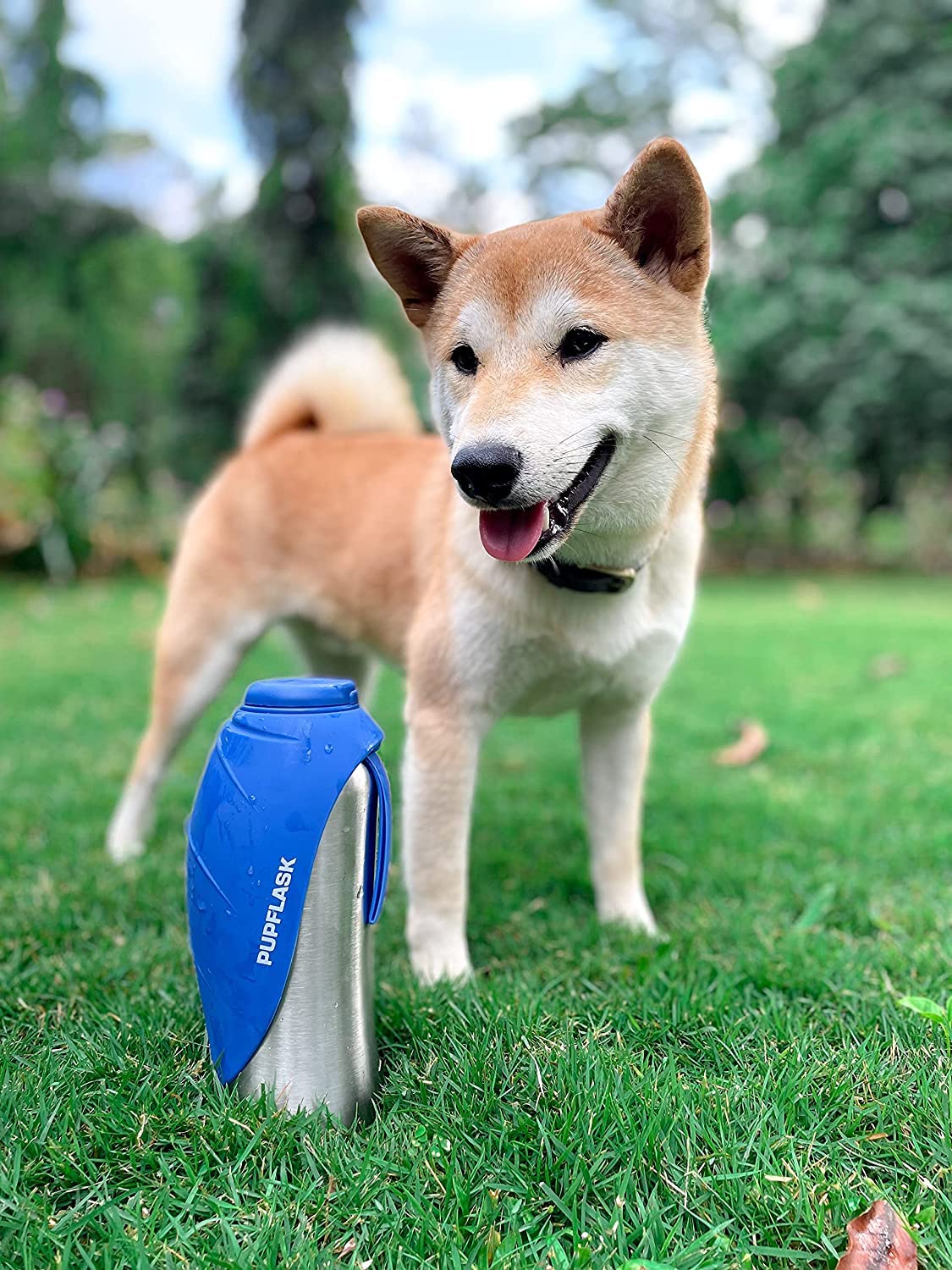 Tuff Pupper nettoyage à la main du bol, entretien simple et rapide