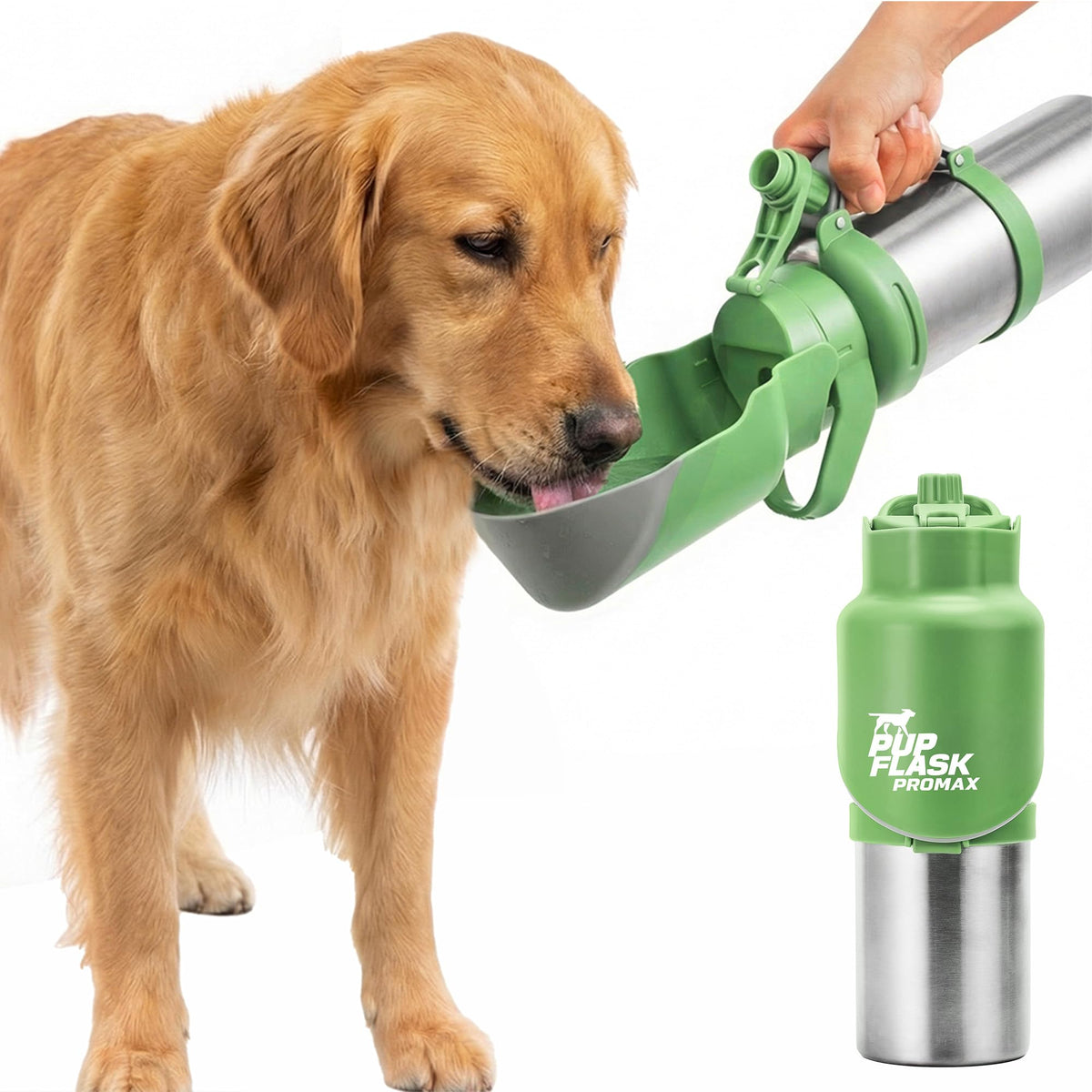 Tuff Pupper vue avant de la gourde isotherme, facilite hydratation mobile