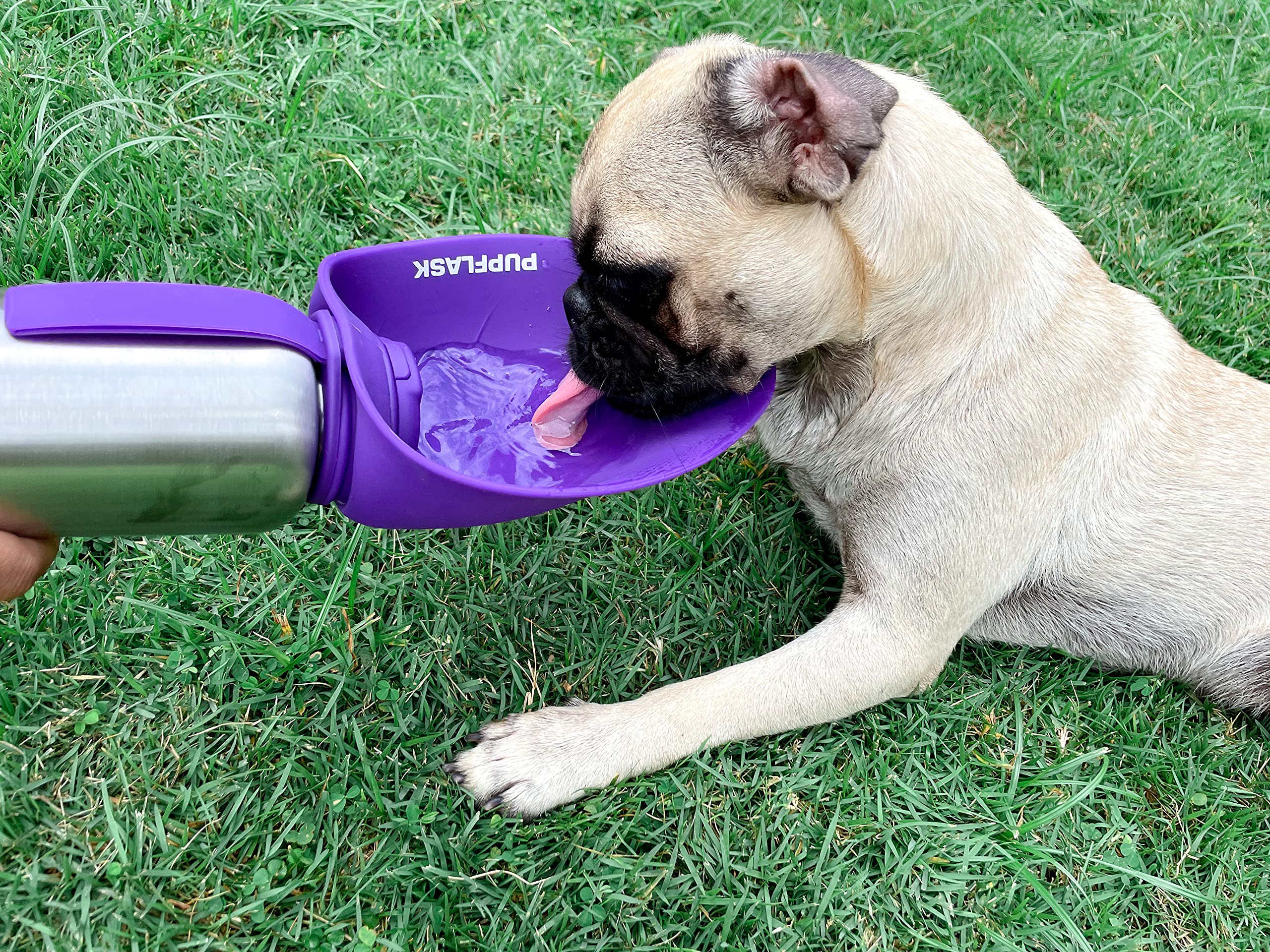 Tuff Pupper PupFlask dans une scène urbaine avec chien, montrant l'utilisation quotidienne pratique