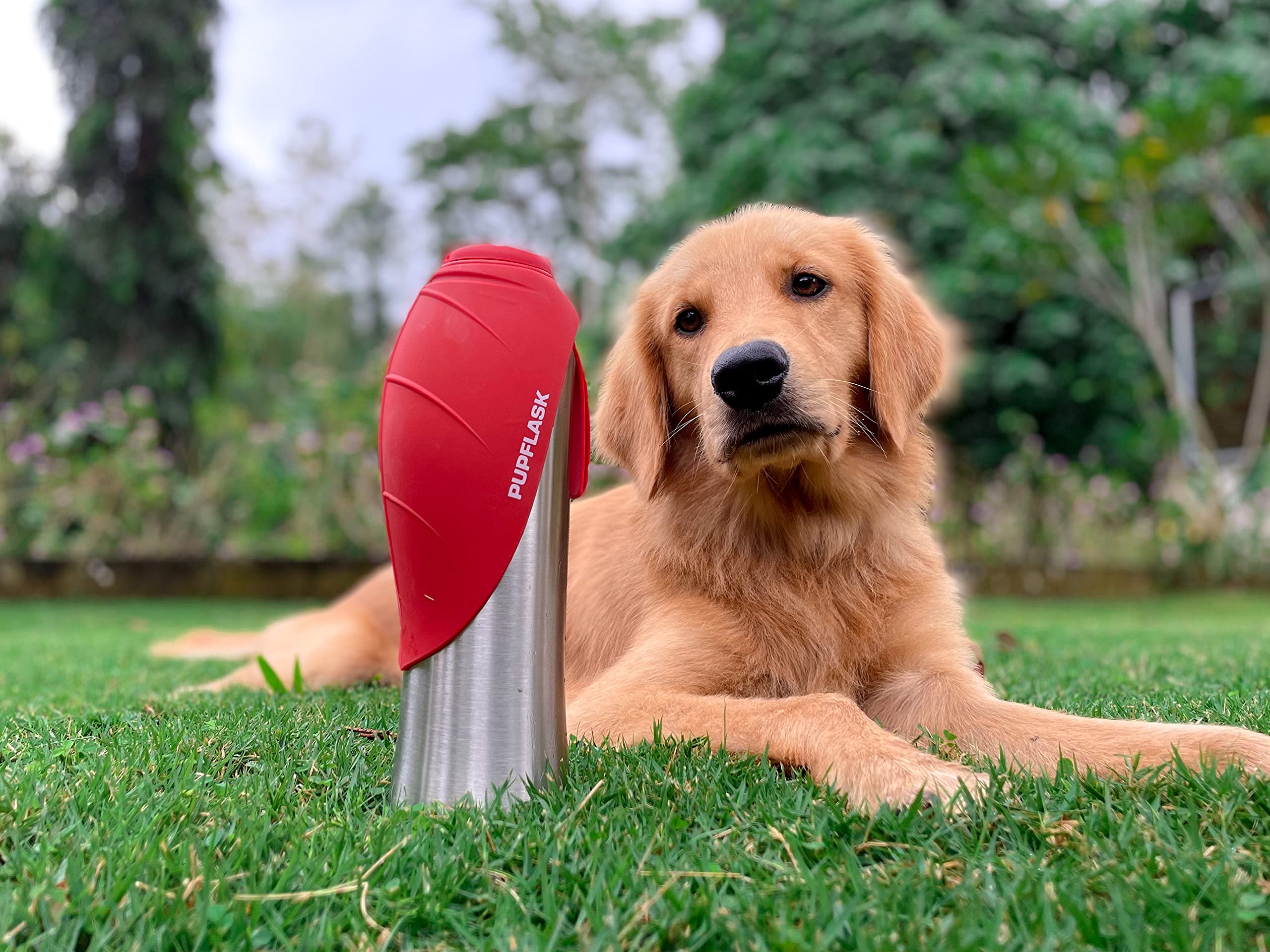 Tuff Pupper PupFlask mise en scène lifestyle urbaine pour promenades quotidiennes