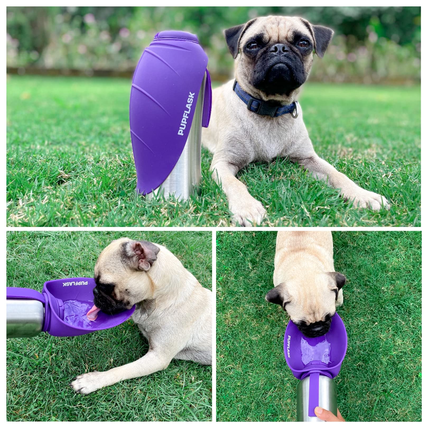 Tuff Pupper PupFlask utilisé en randonnée sur un sentier avec un chien pour hydration fiable en plein air