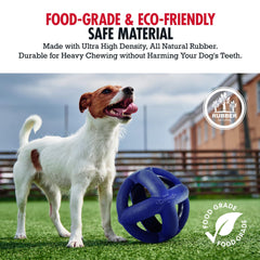 Tuff Pupper balle en usage avec chien rapportant et dépense physique