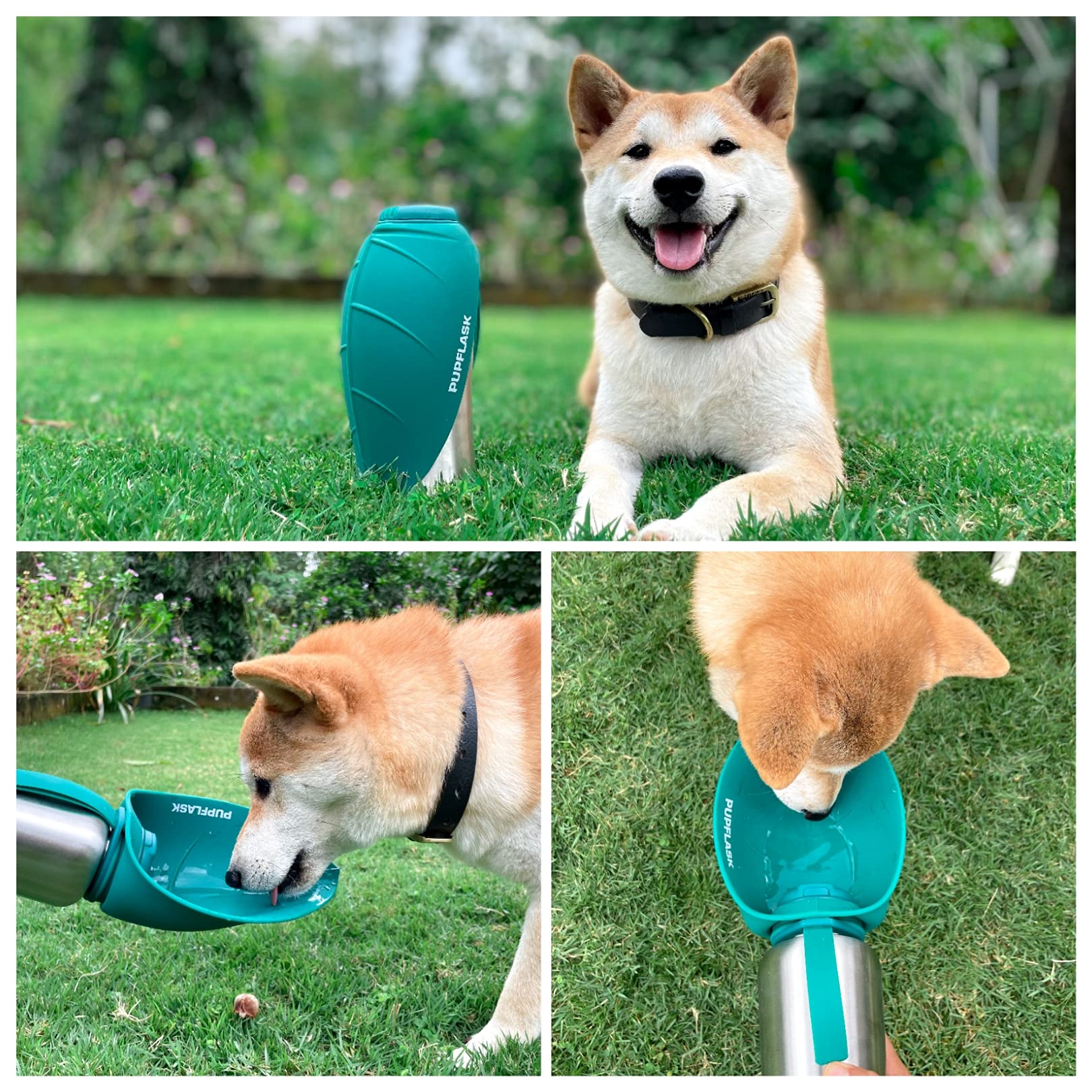 Tuff Pupper zoom sur le capuchon en silicone pour ouverture facile