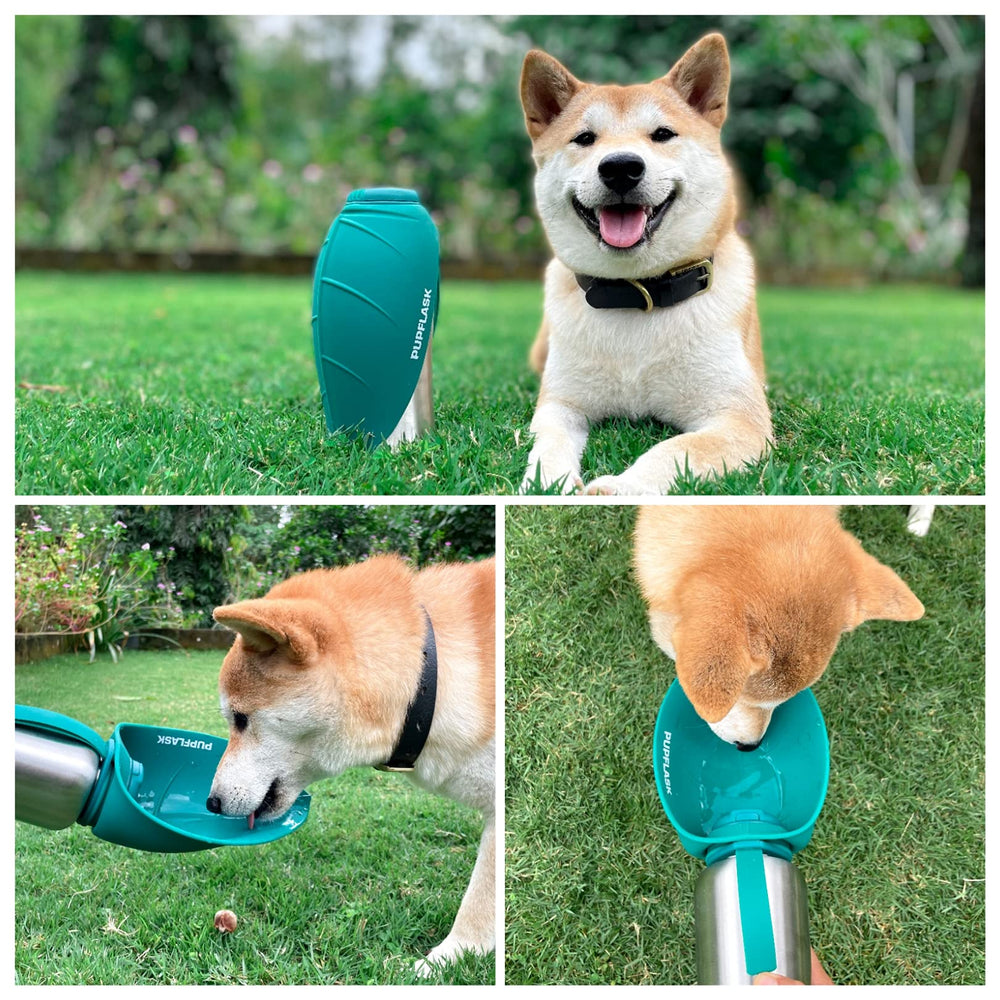 Tuff Pupper zoom sur le capuchon en silicone pour ouverture facile