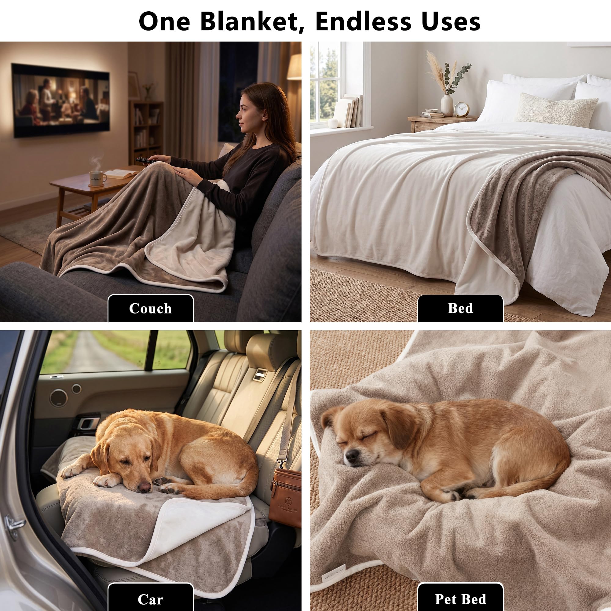 Tuffeel chien allongé sur le plaid pour confort et protection pratique