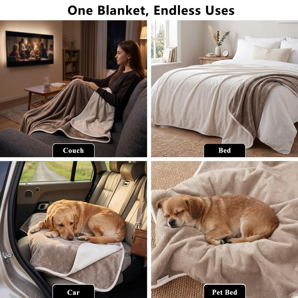 Tuffeel chien allongé sur le plaid pour confort et protection pratique