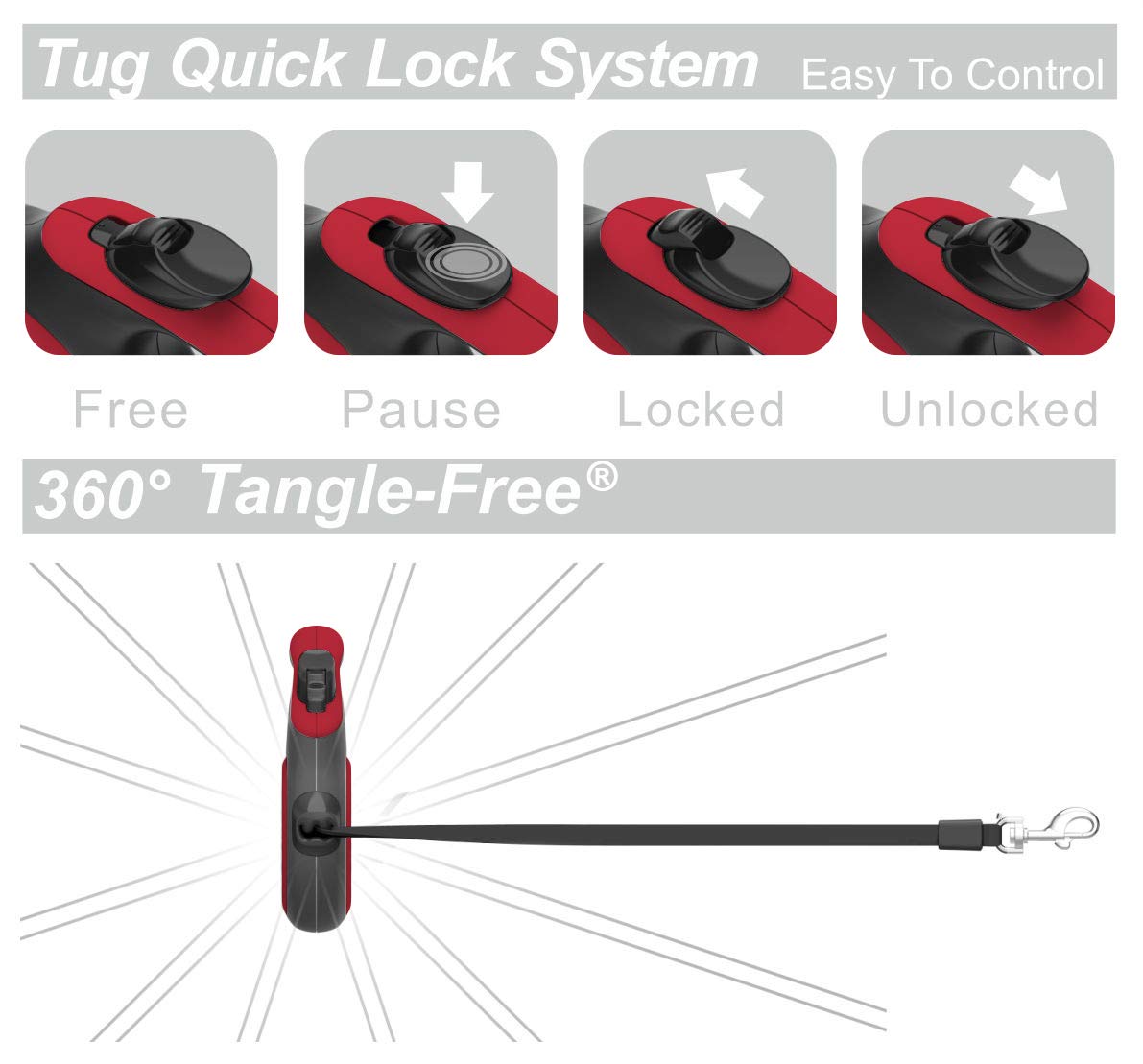 TUG comparaison taille pour chien moyen illustrant ajustement