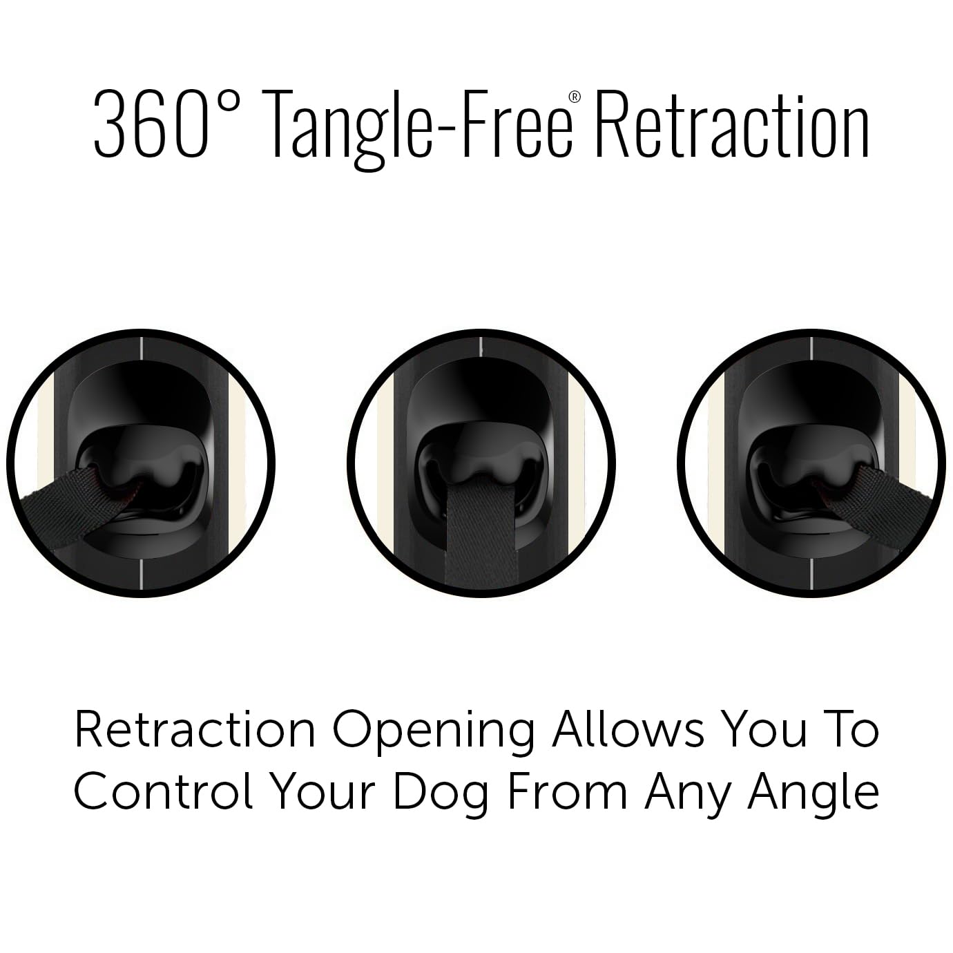 TUG comparaison taille avec chiot illustre l'adéquation pour petits chiens