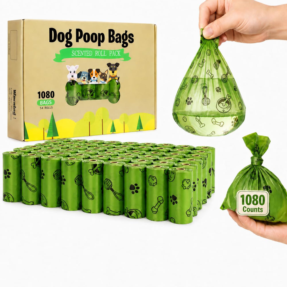 TVOOD boîte 1080 sacs vue d’ensemble, rangement longue durée