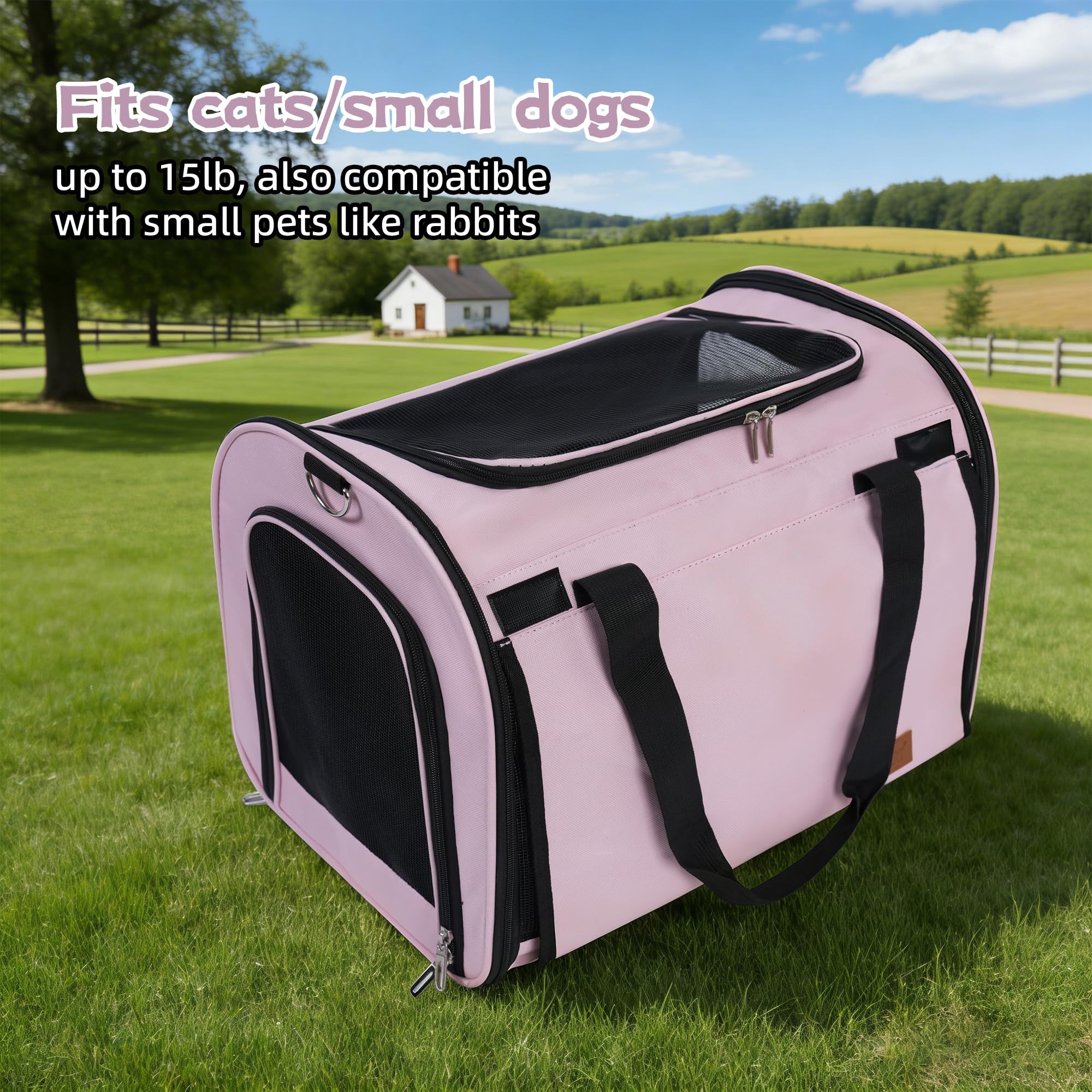 TWDEPART rideau enroulable occultant pour apaiser le chat en environnement bruyant