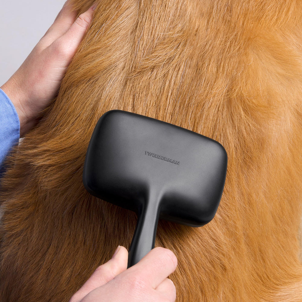 Tweezerman brosse en usage sur un chat retirant sous-poil efficacement