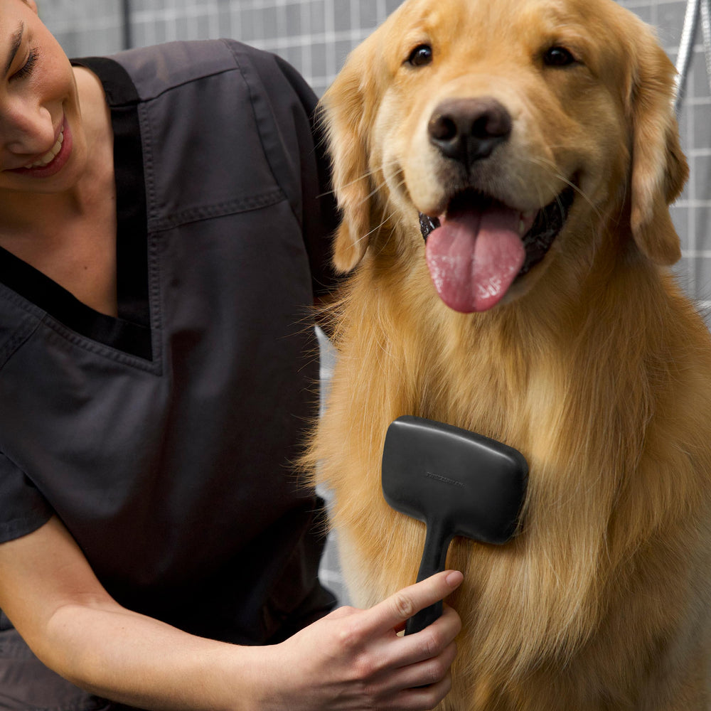 Tweezerman brosse en usage sur un grand chien réduisant les nœuds