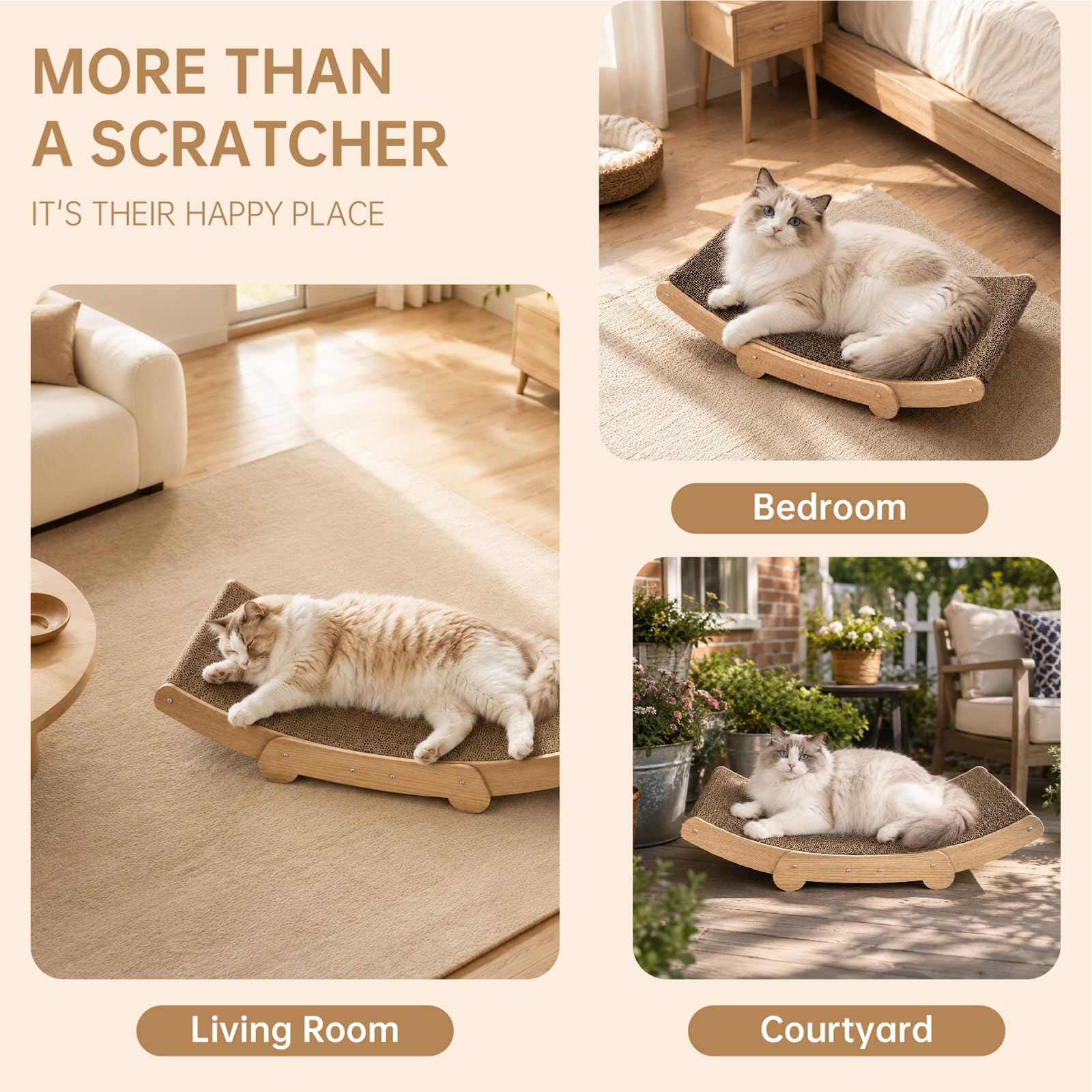 TwigSong chat utilisant le lounge pour s’étirer et se reposer confortablement
