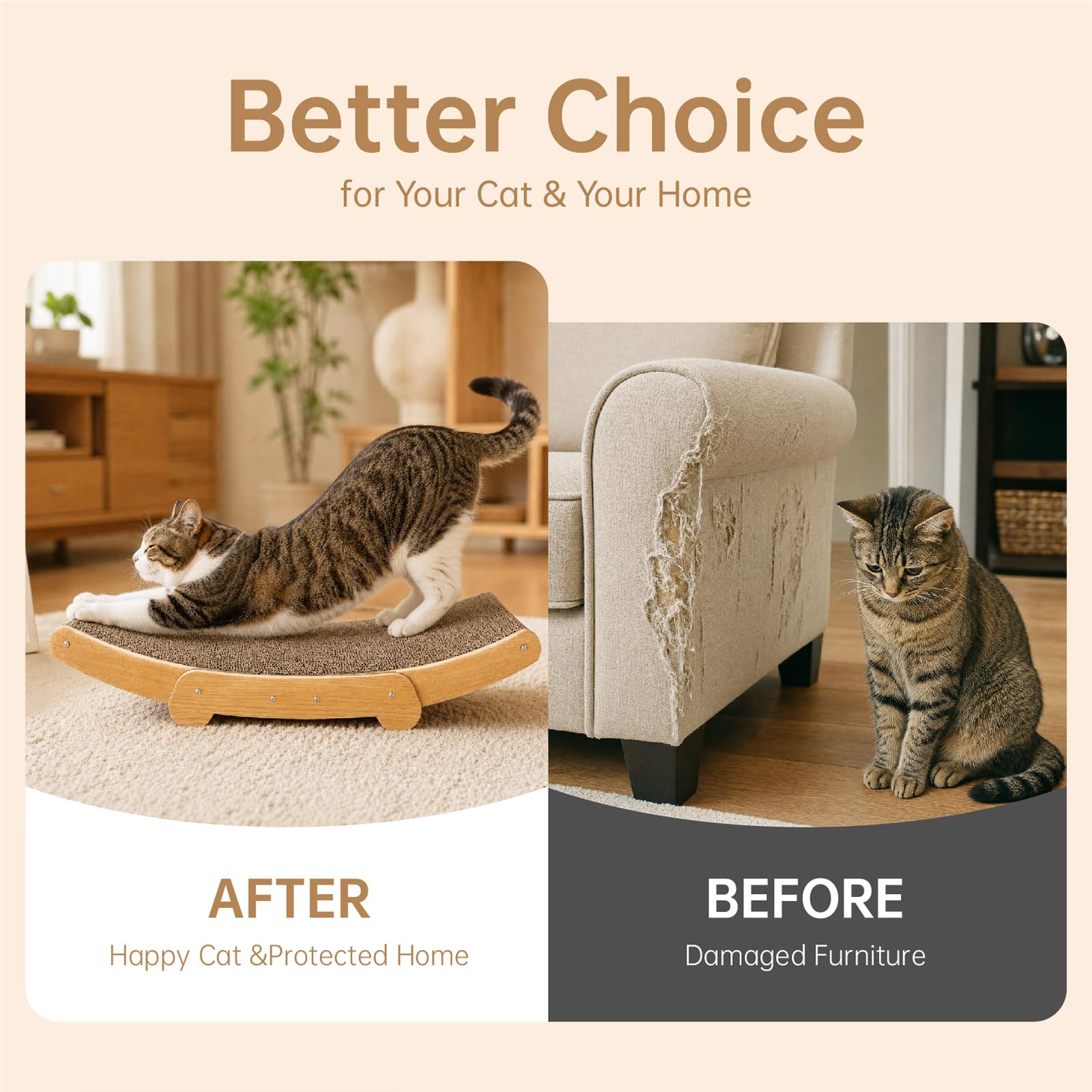 TwigSong comparaison taille montrant proportions adaptées aux chats domestiques