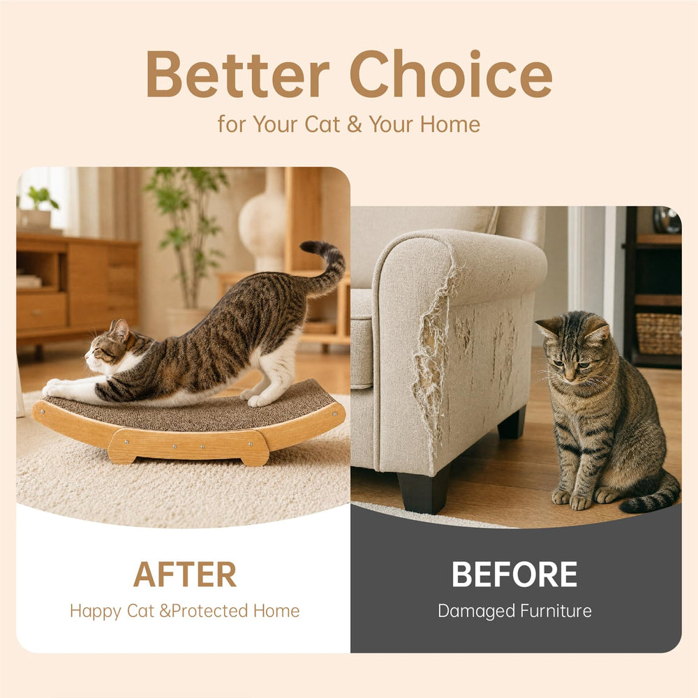 TwigSong comparaison taille montrant proportions adaptées aux chats domestiques