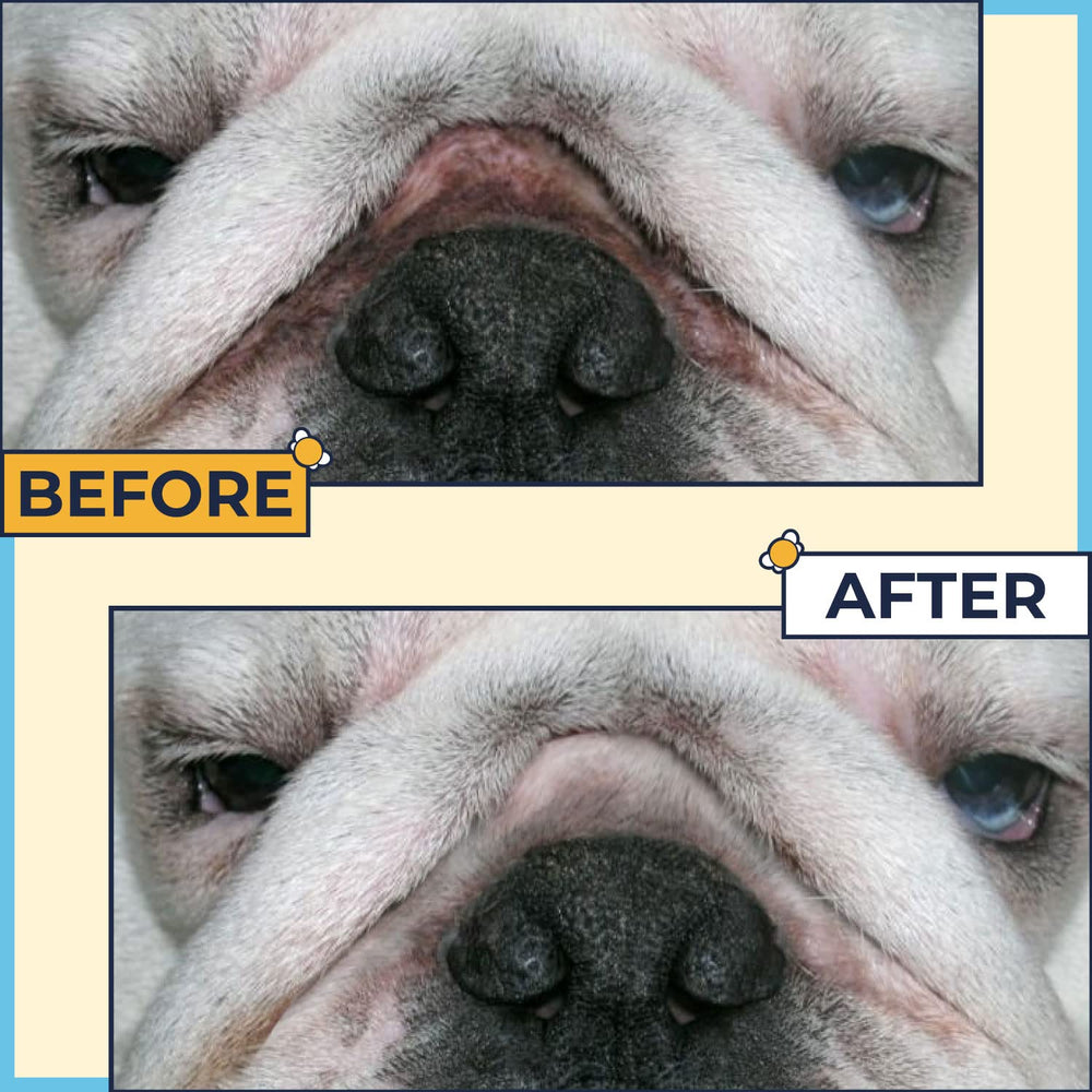 Two Pets and a Half gros plan texture pâte onctueuse hydratation