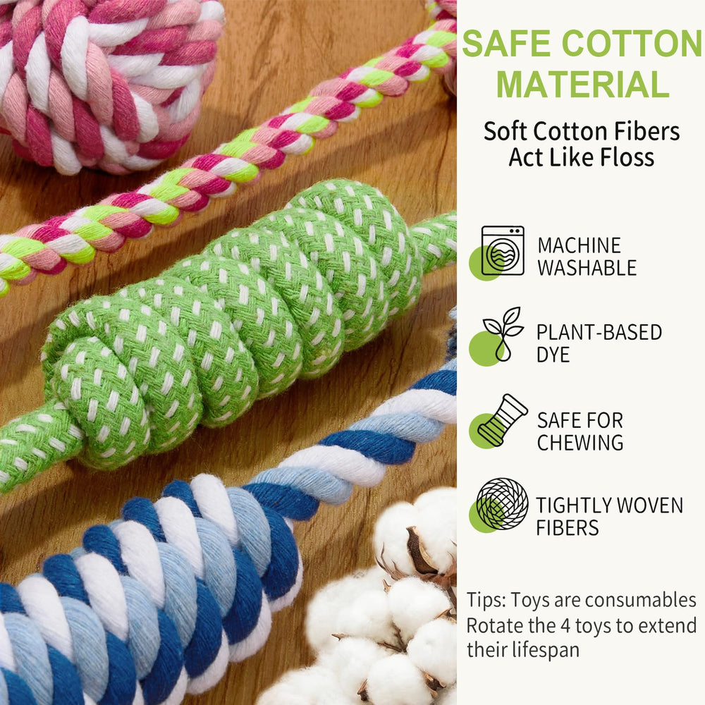TwoAnt ensemble sur sol peluche montrant kit complet pour petite race